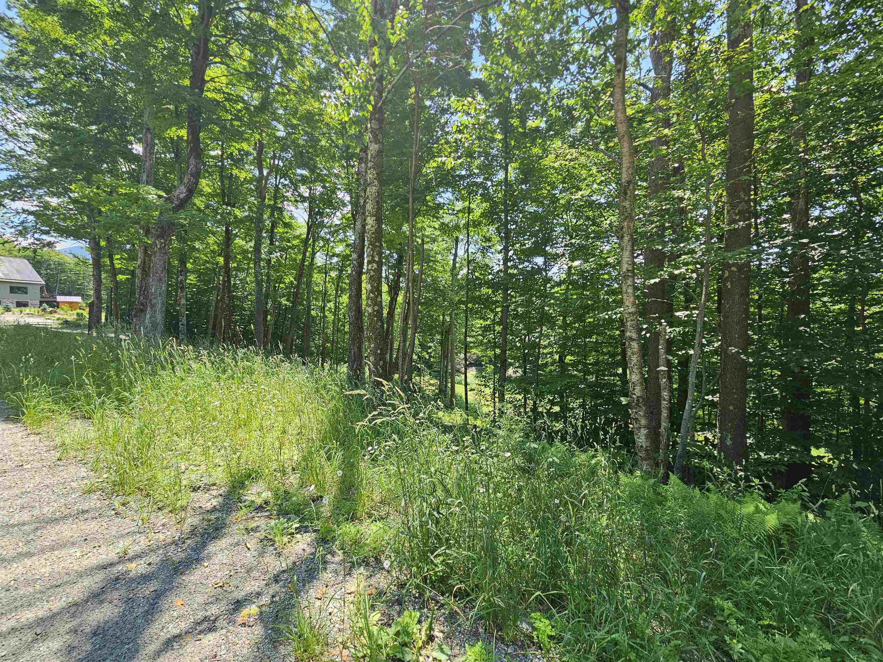 0 Sweeney Lane Property Photo 4