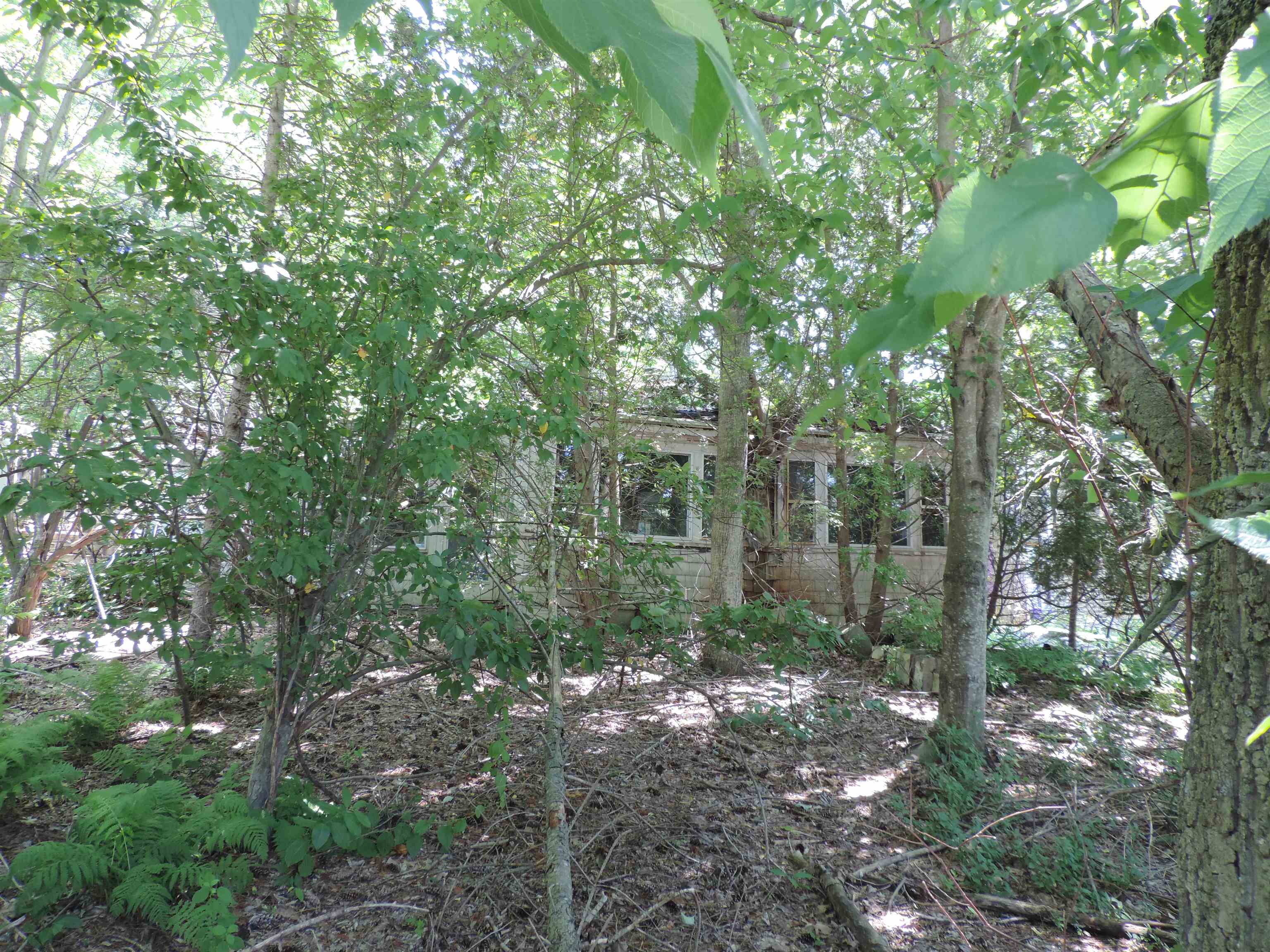 5 Woodlawn Road Property Photo 5