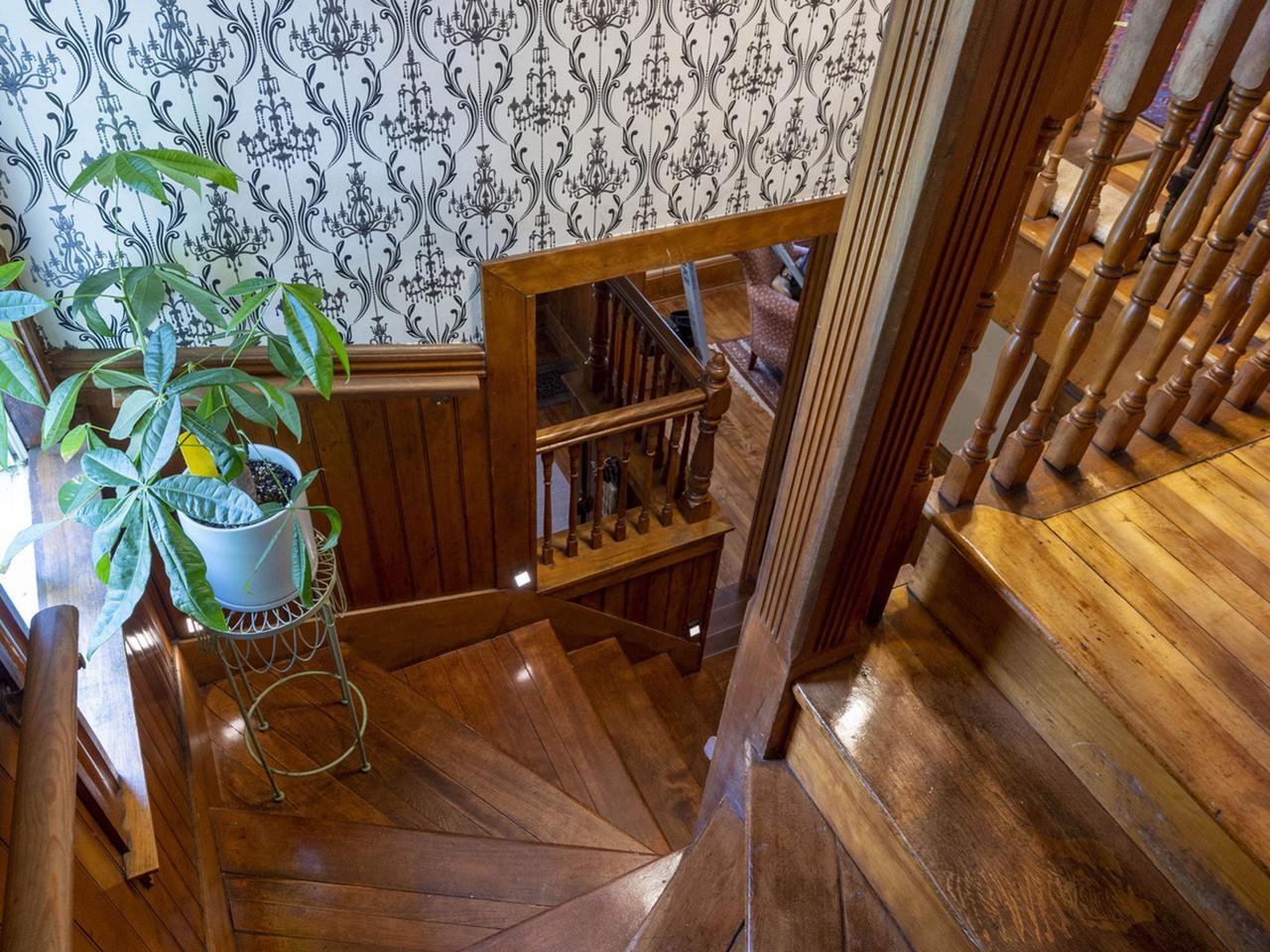 14 Sheridan Street Property Photo 23