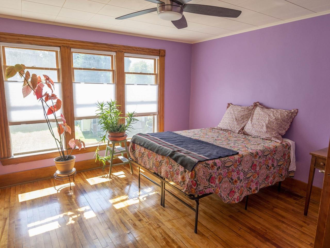 14 Sheridan Street Property Photo 25
