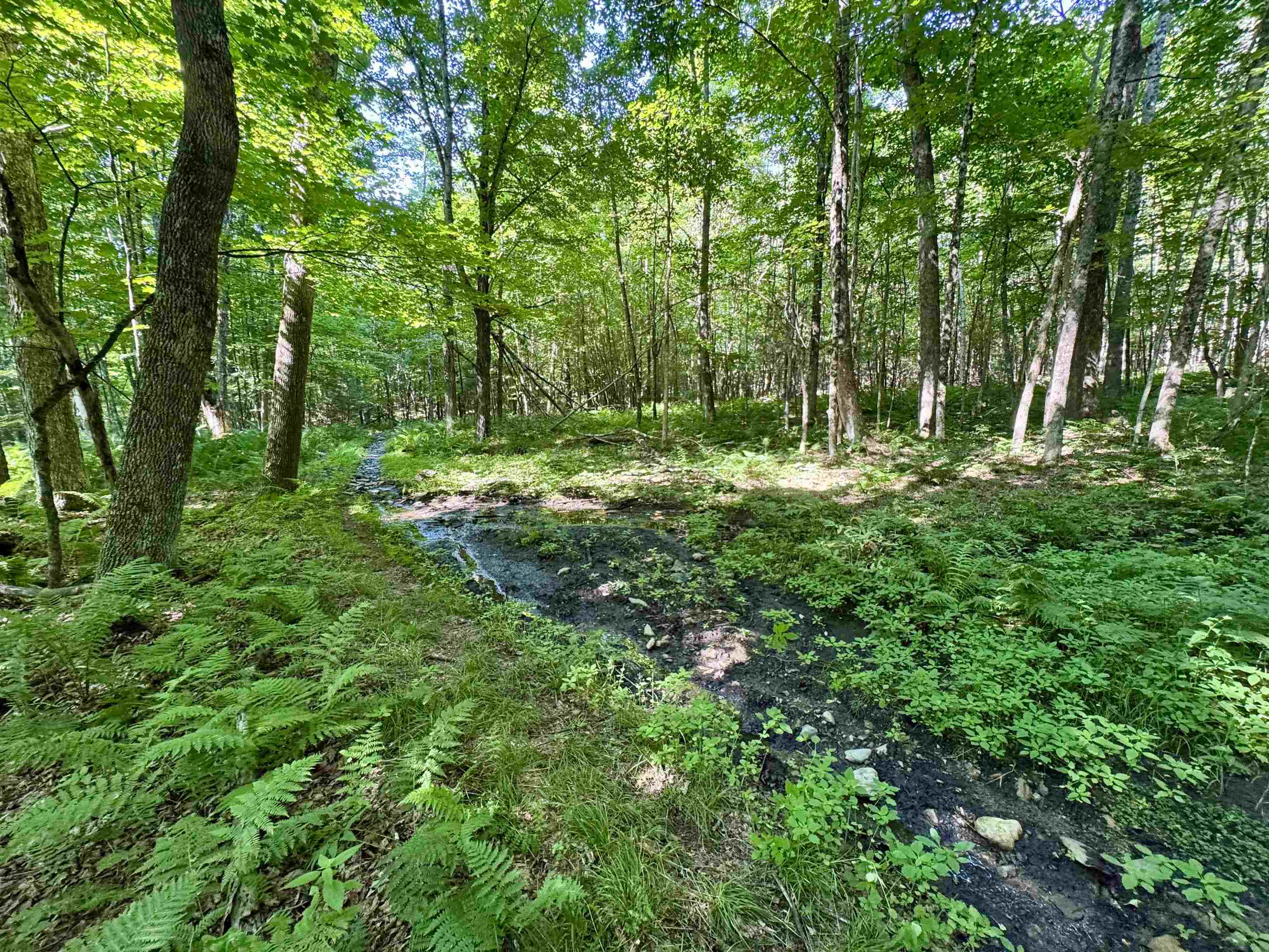 00 Mountain Road Property Photo 1
