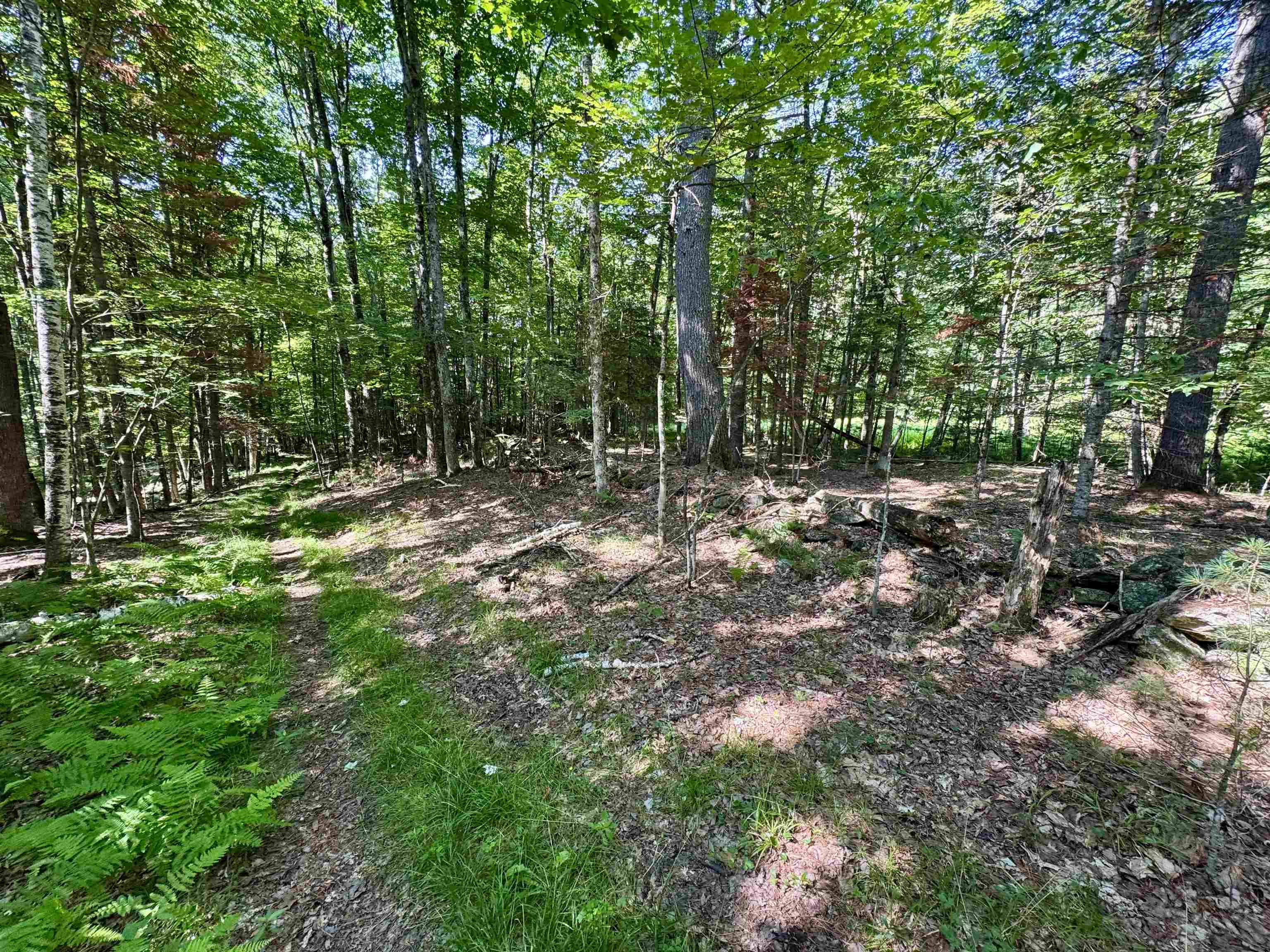 00 Mountain Road Property Photo 3