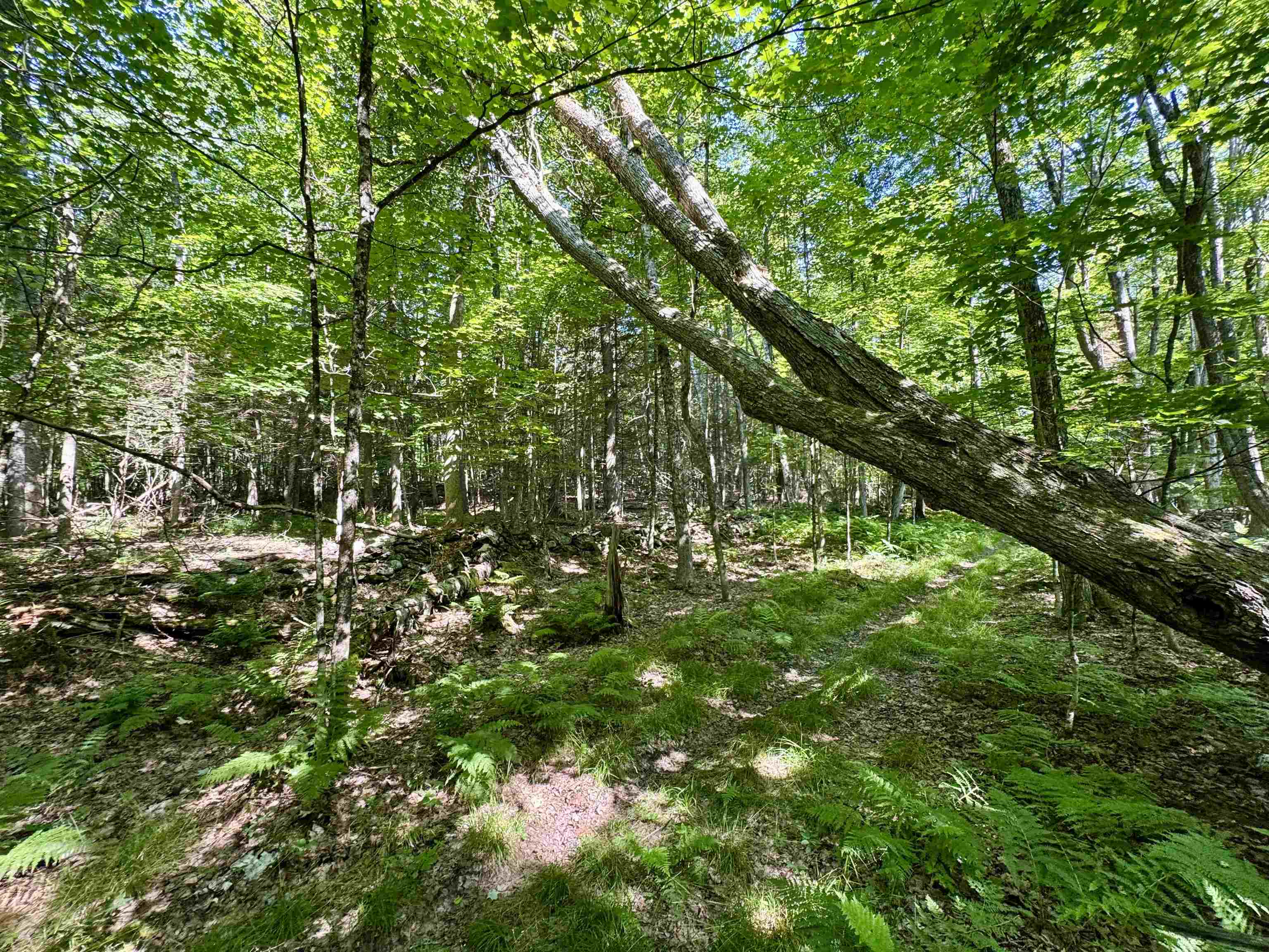 00 Mountain Road Property Photo 4