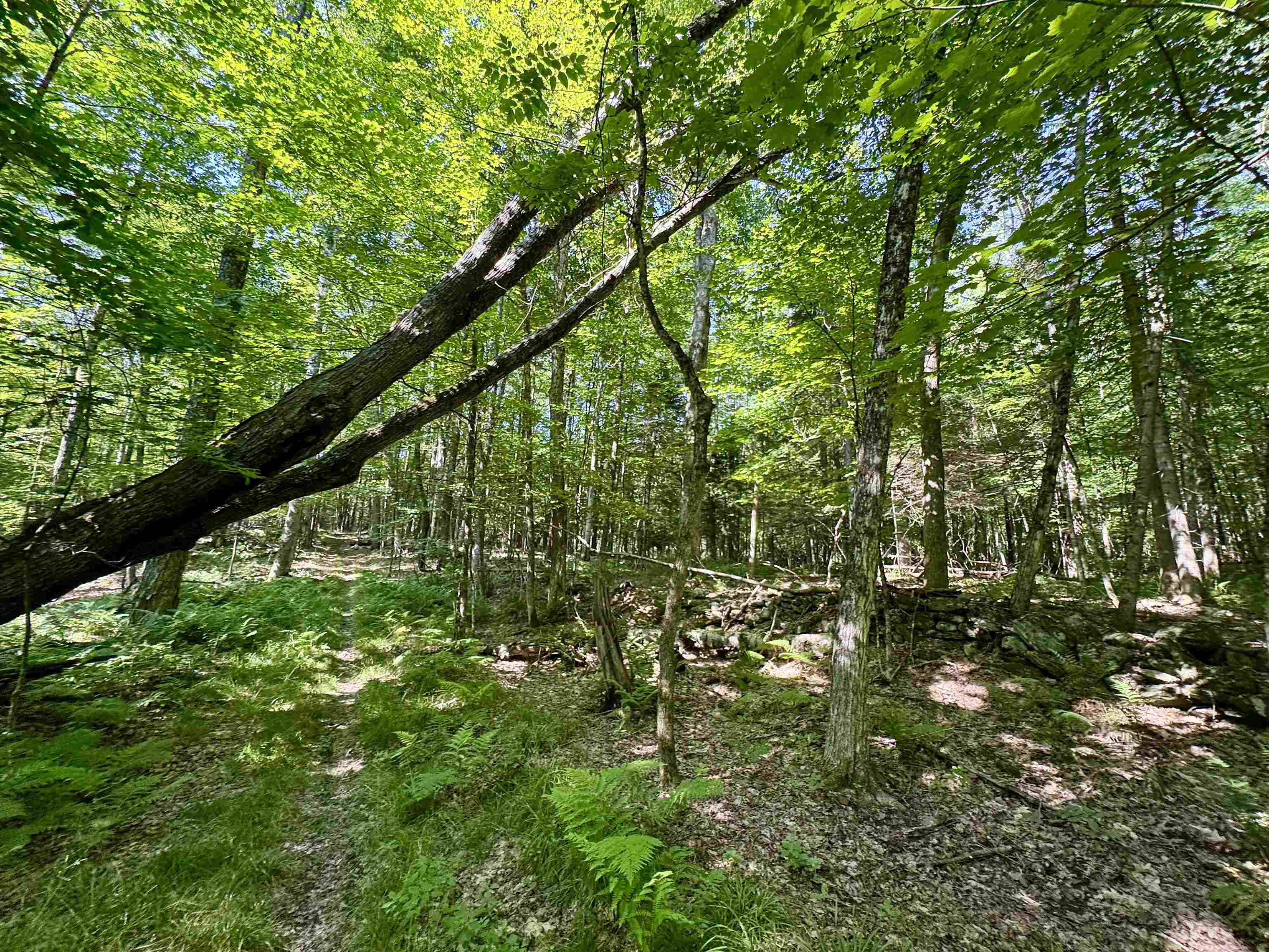00 Mountain Road Property Photo 5