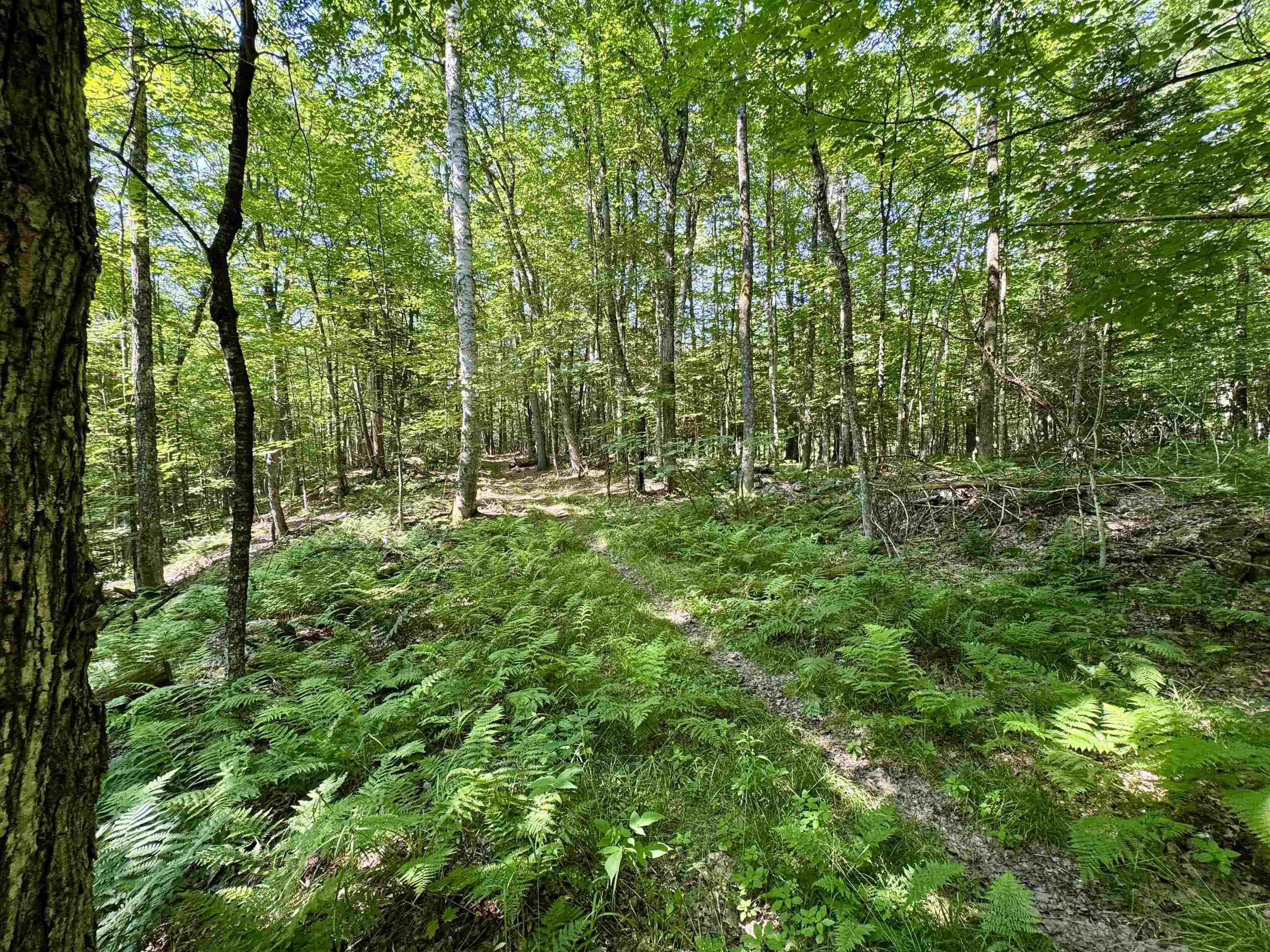00 Mountain Road Property Photo 6