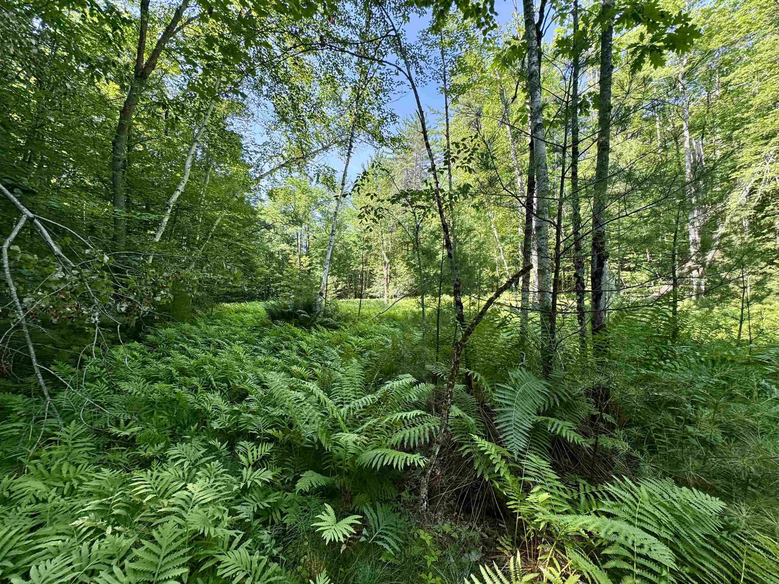 00 Mountain Road Property Photo 7