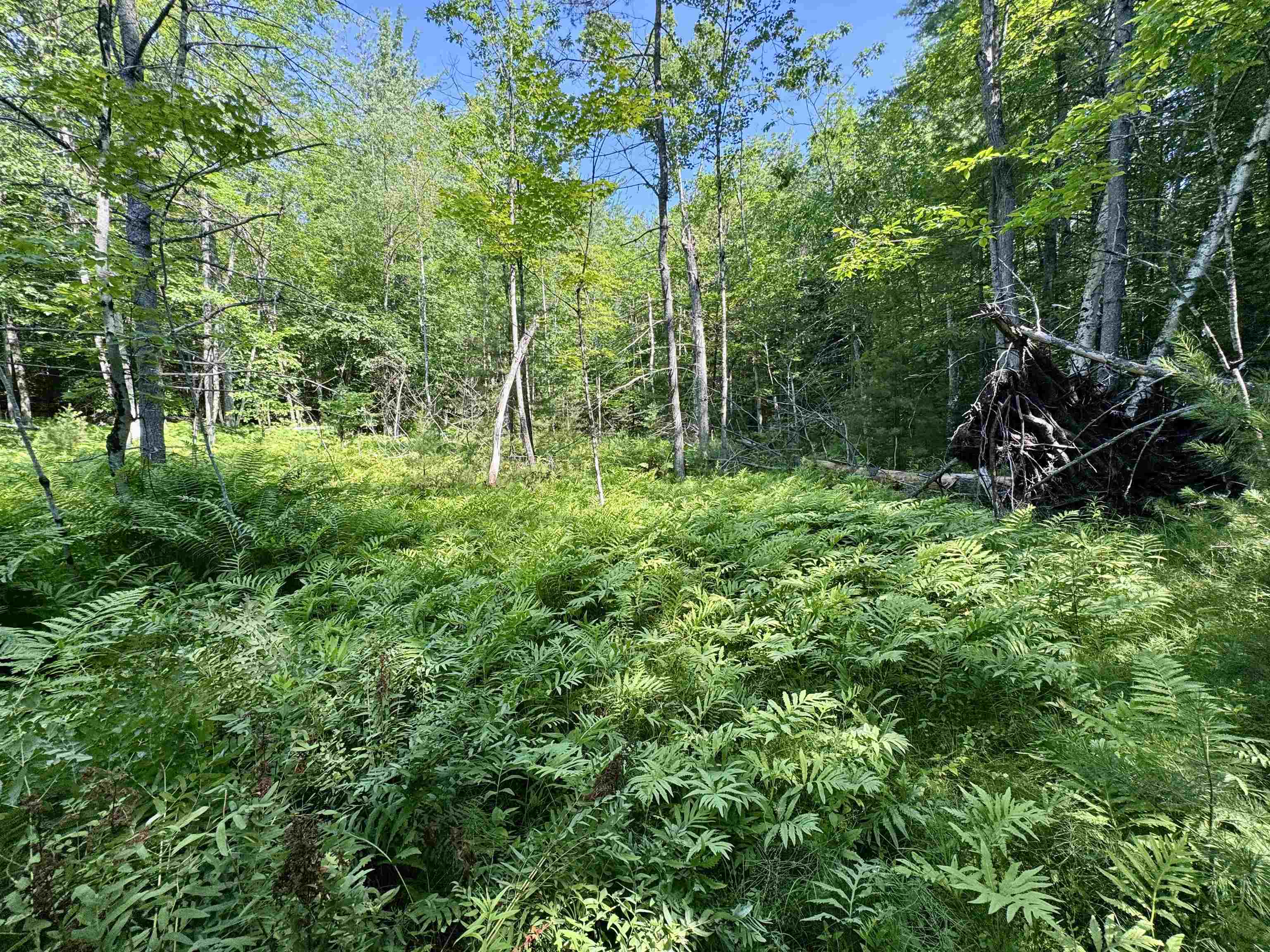 00 Mountain Road Property Photo 8