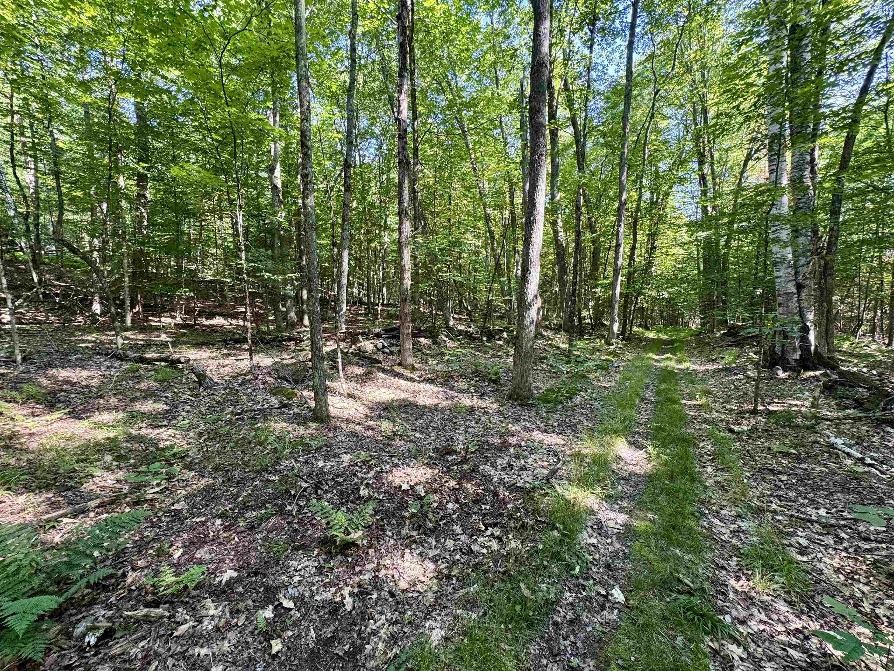 00 Mountain Road Property Photo 9