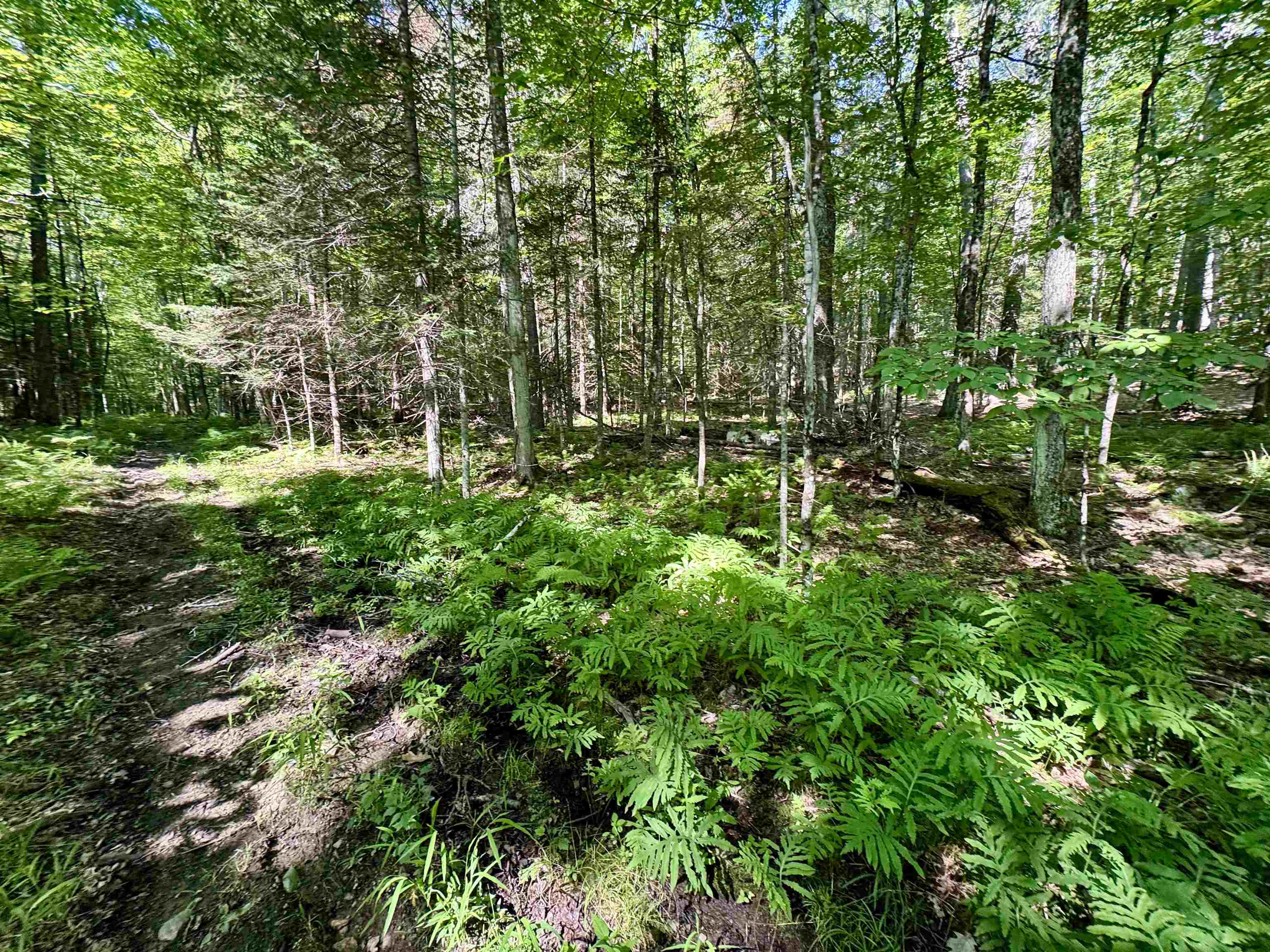 00 Mountain Road Property Photo 10