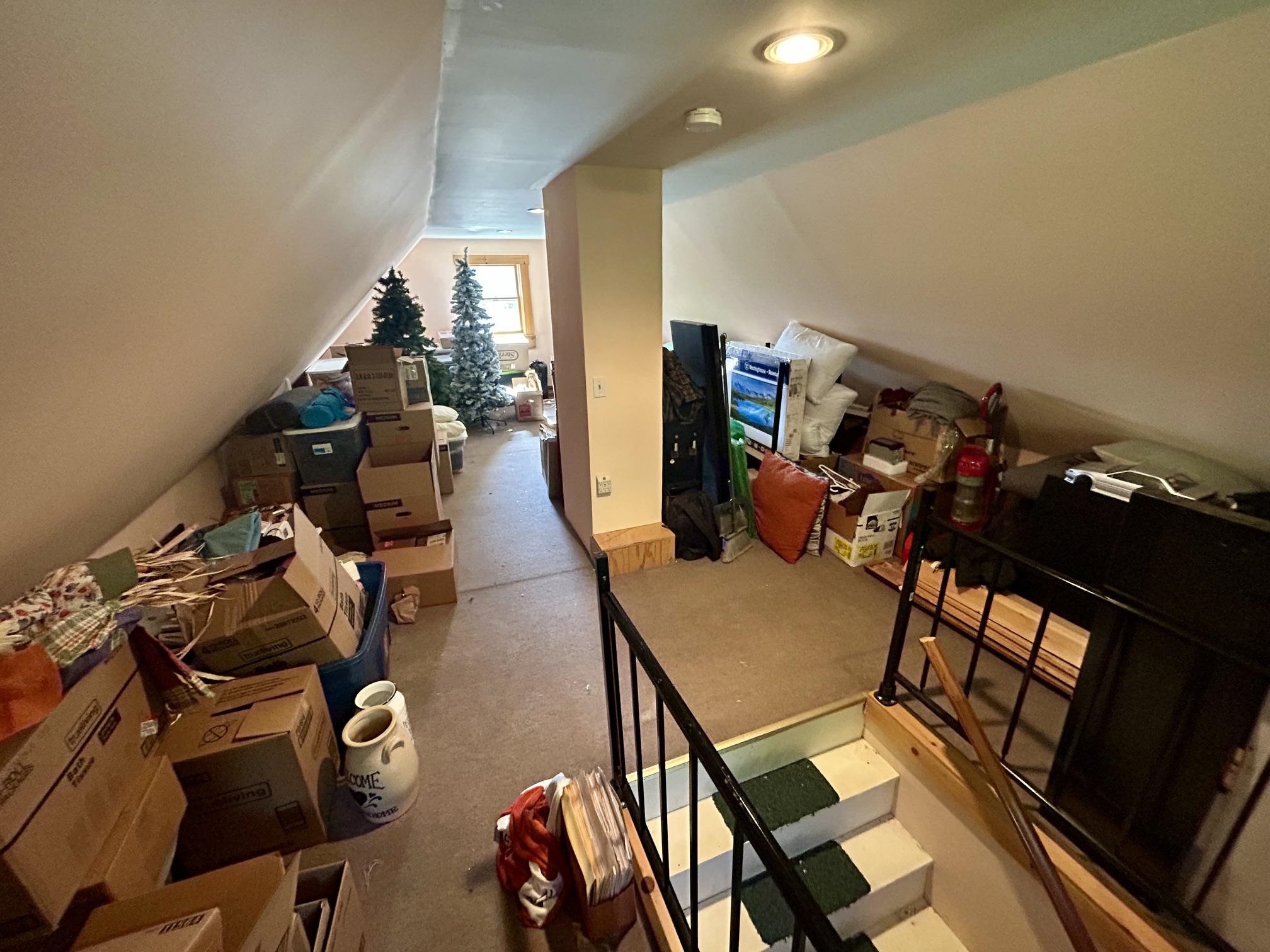 11 Hale Street Property Photo 34