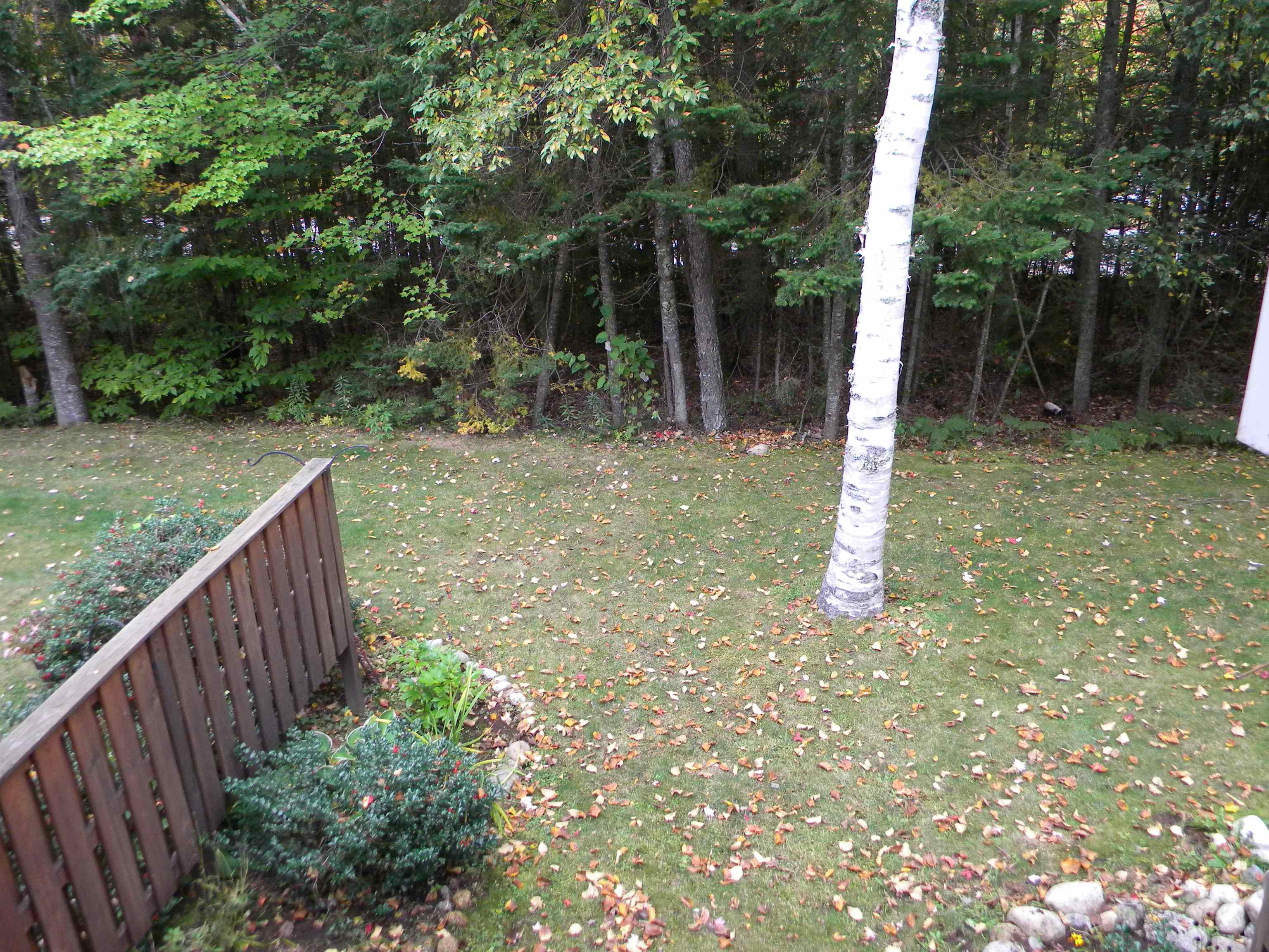 47 Windsor Hill Way Property Photo 26