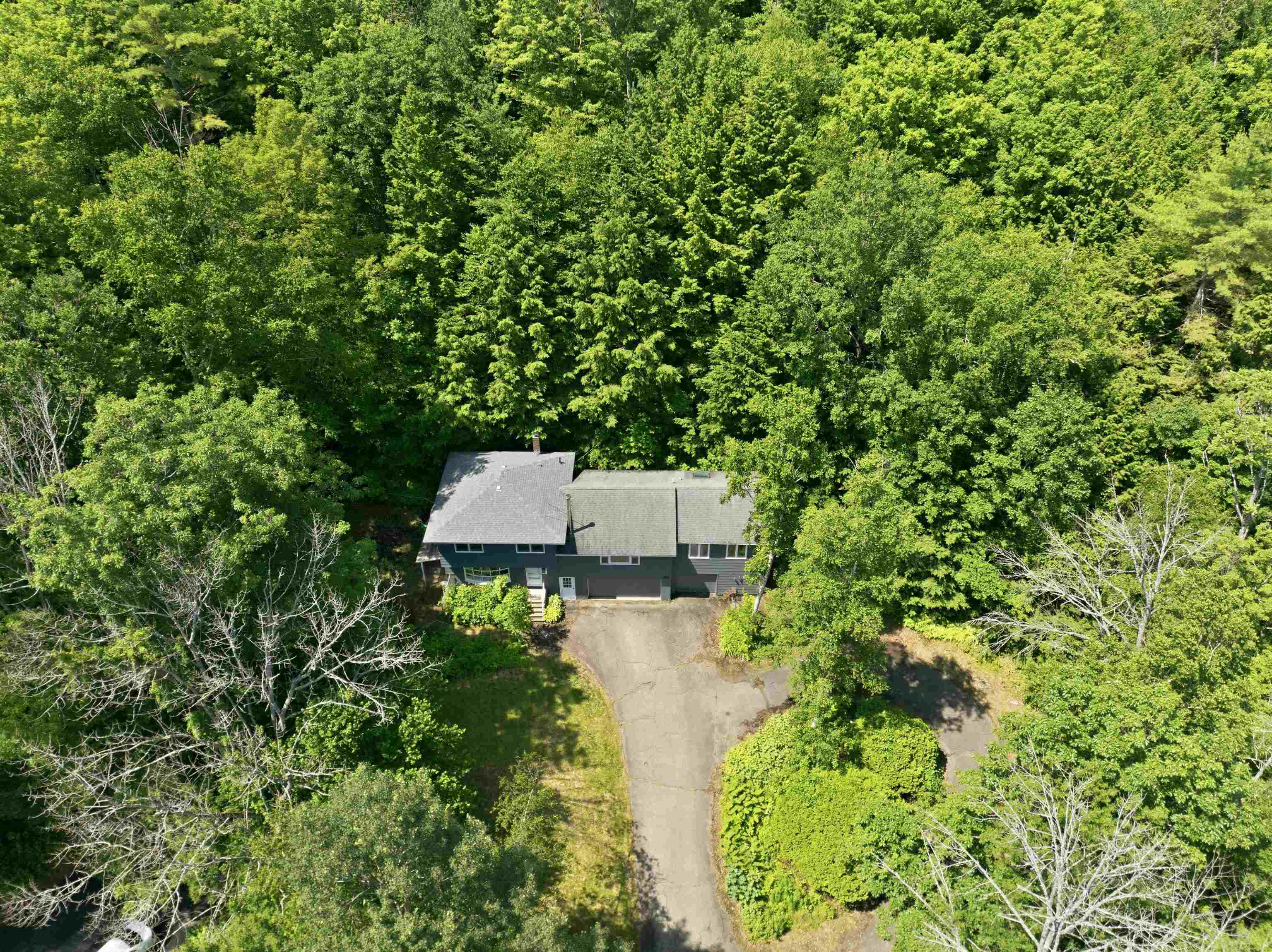 12 Ivy Lane Property Photo 6