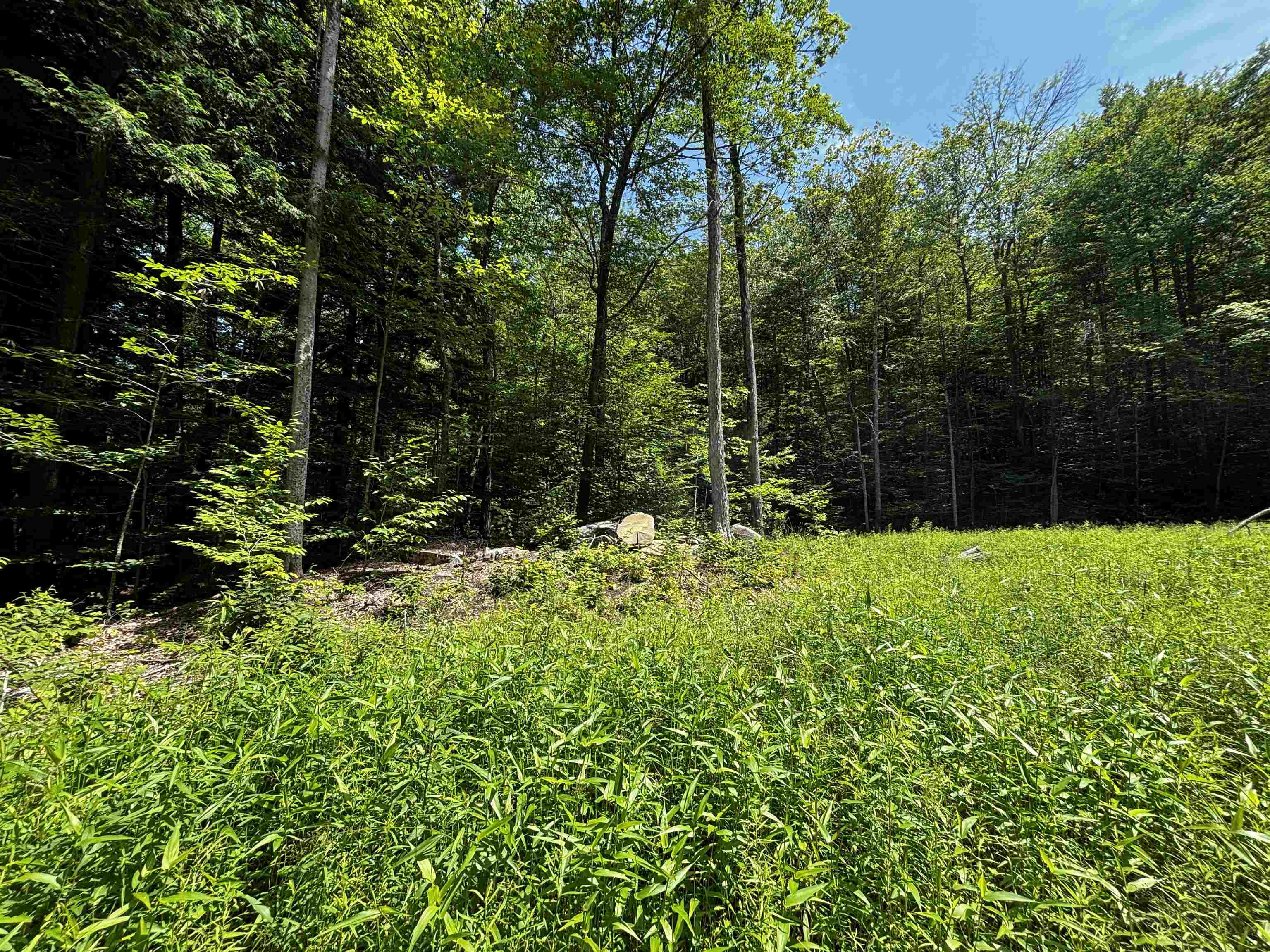 00 Quarry Road Property Photo 2