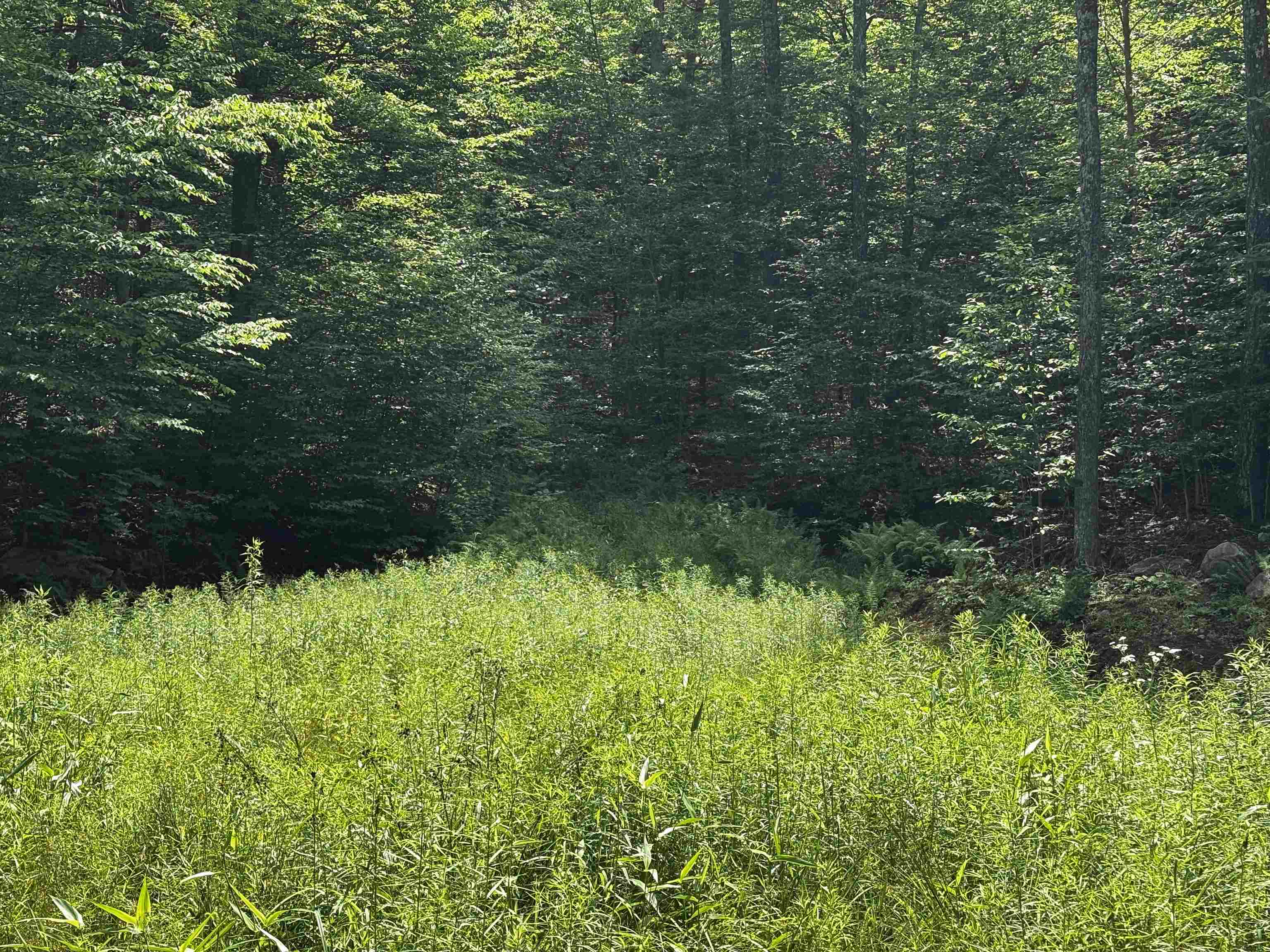 00 Quarry Road Property Photo 5