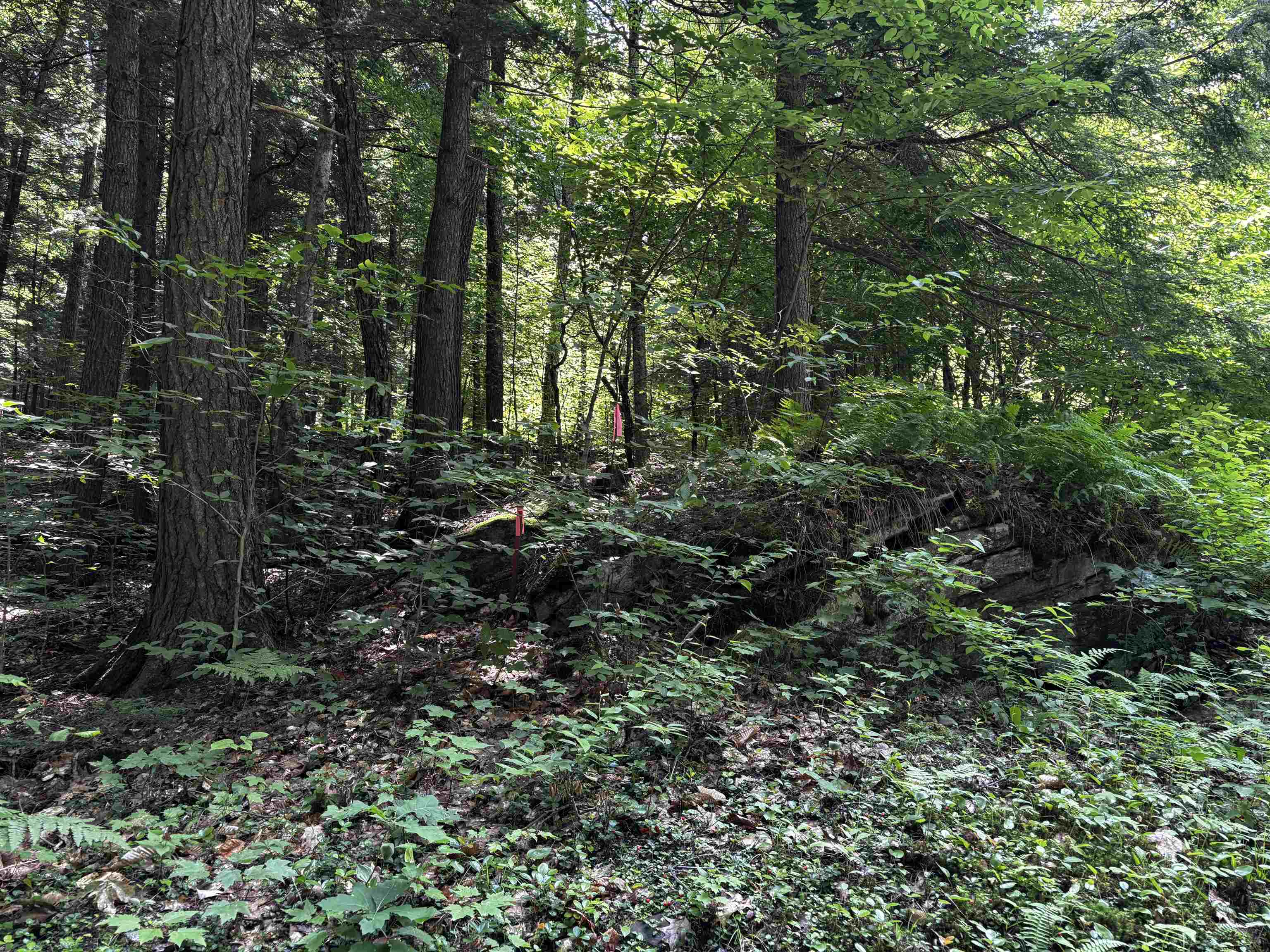 00 Quarry Road Property Photo 8