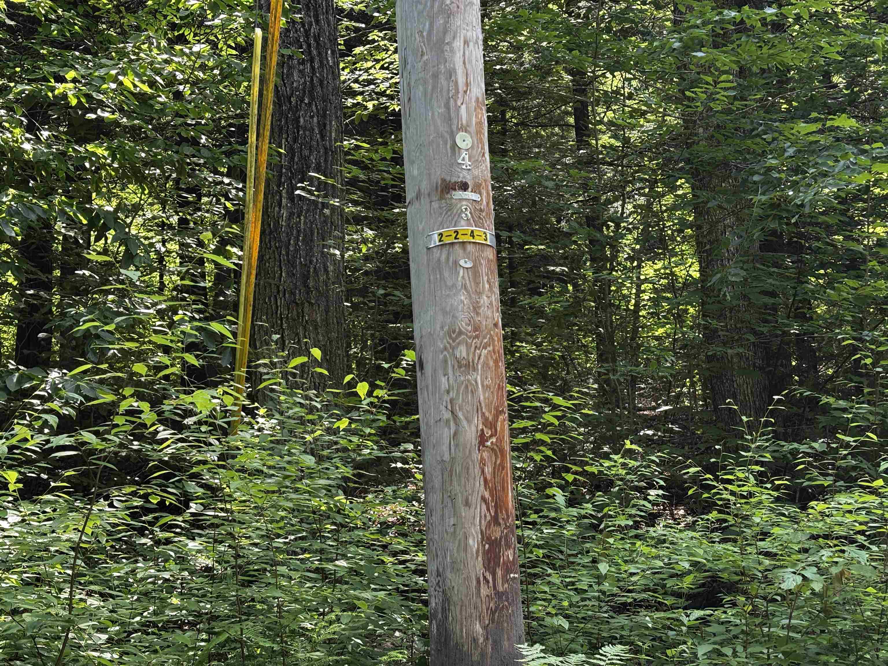 00 Quarry Road Property Photo 9
