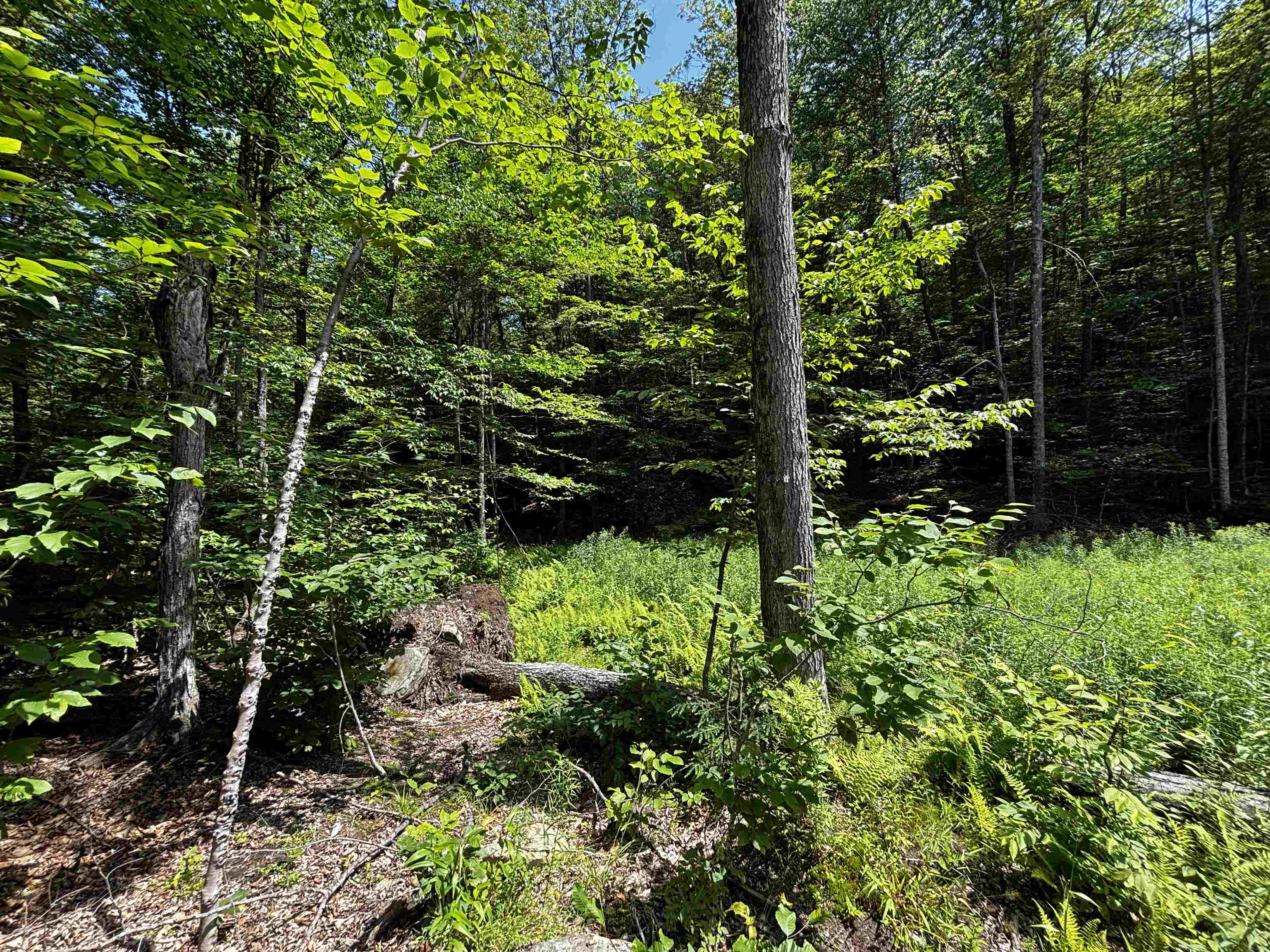 00 Quarry Road Property Photo 10