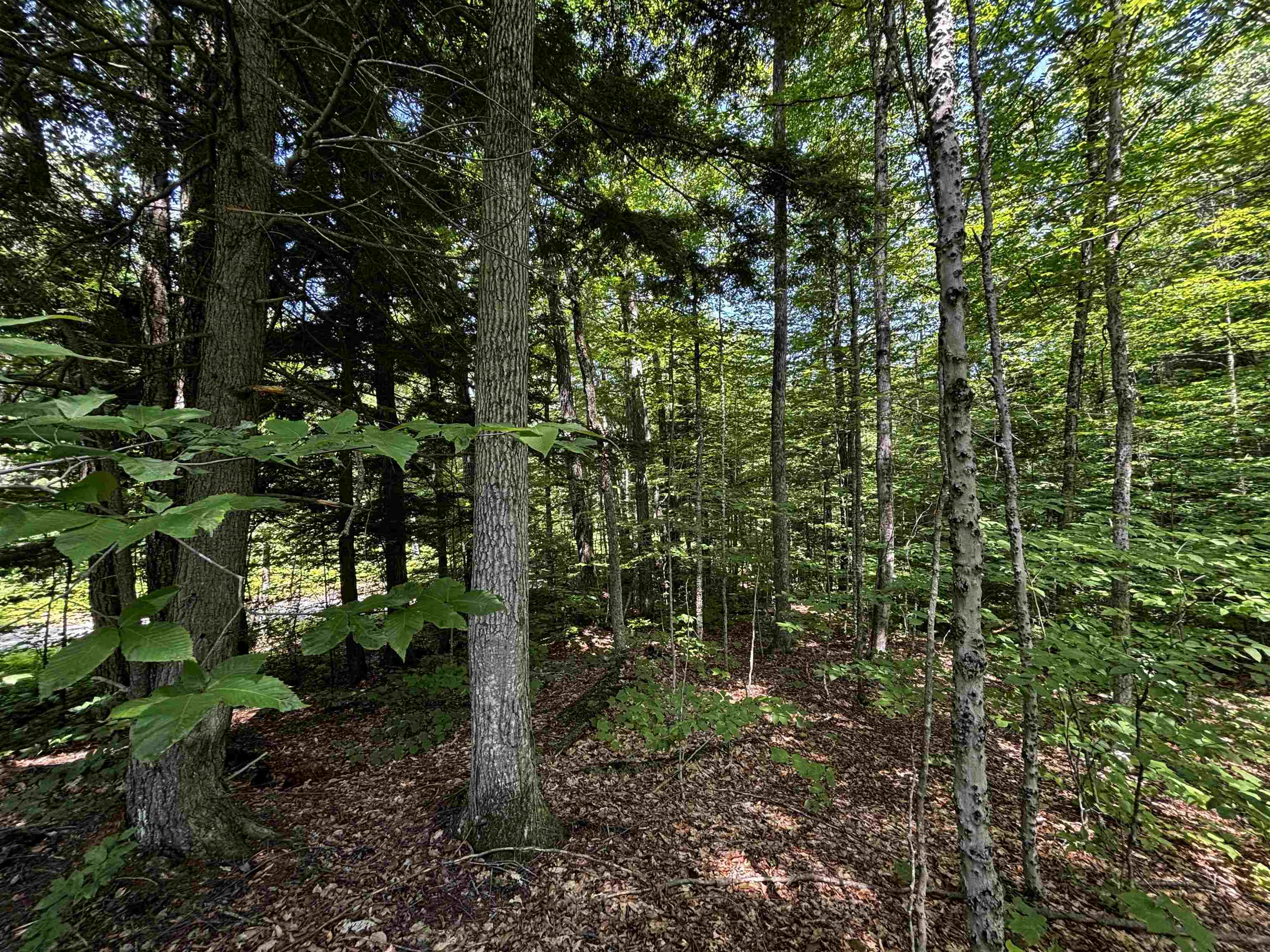 00 Quarry Road Property Photo 11