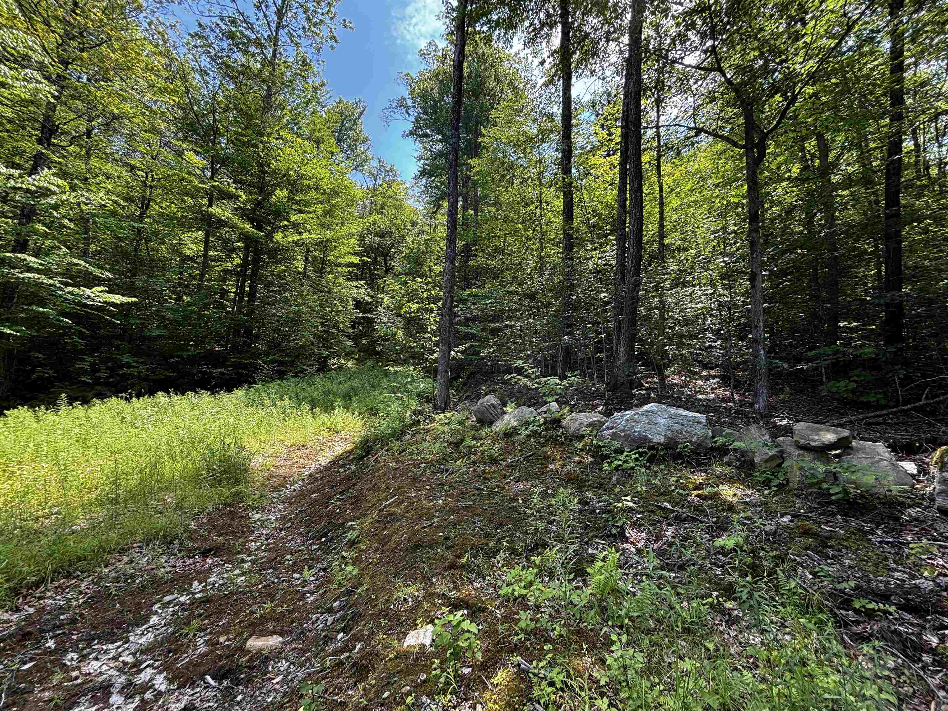 00 Quarry Road Property Photo 14