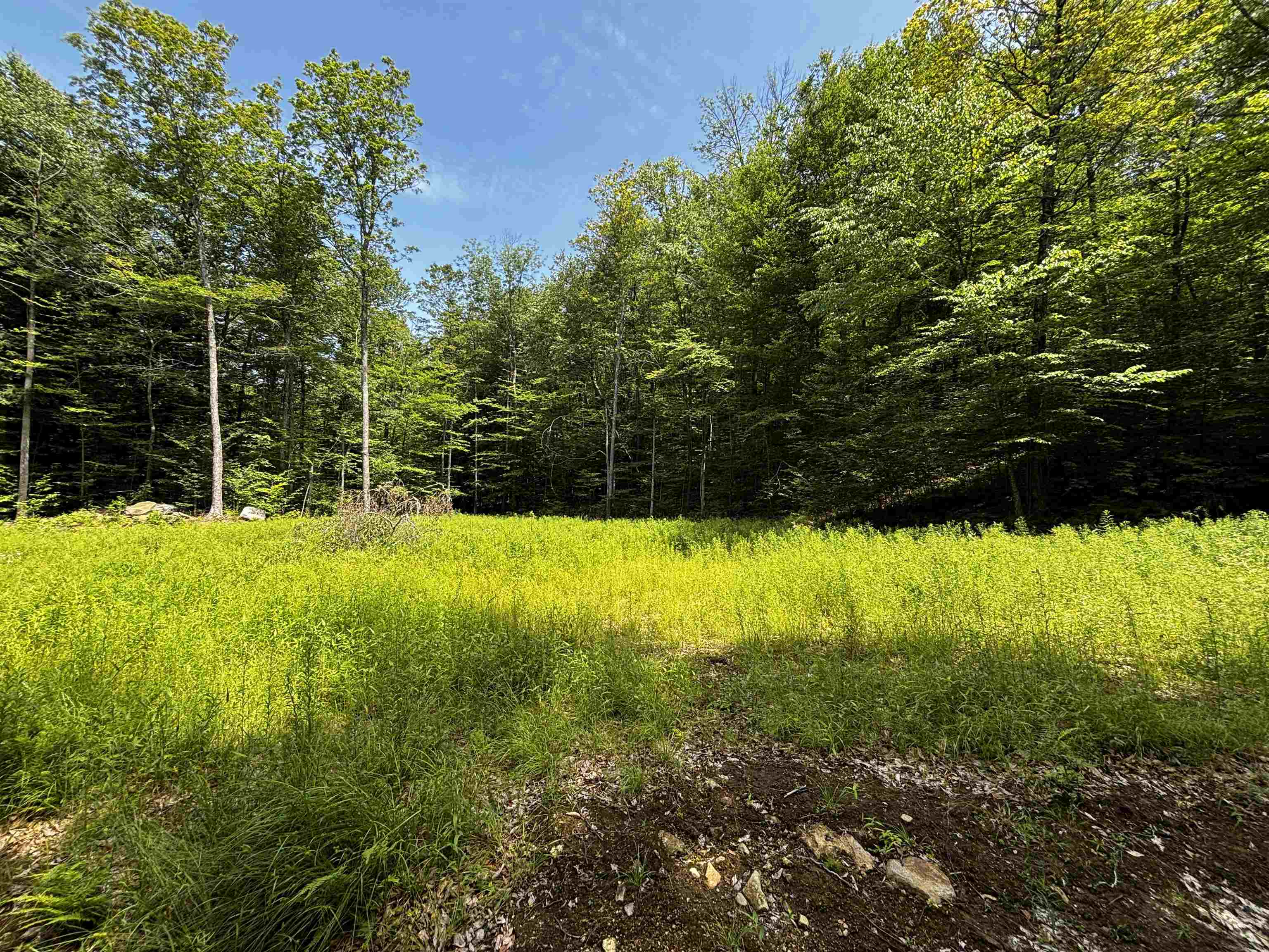00 Quarry Road Property Photo 15