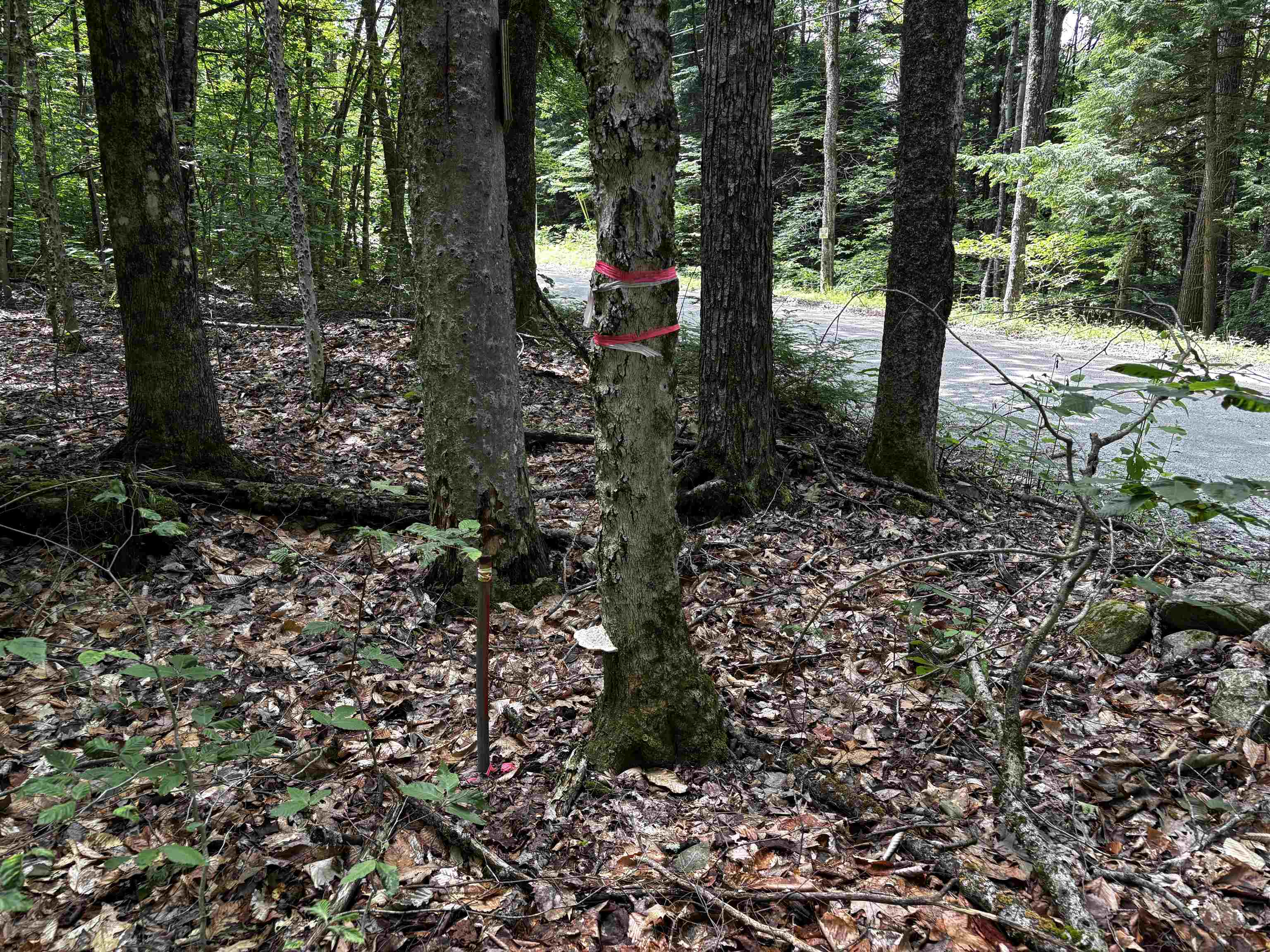 00 Quarry Road Property Photo 17