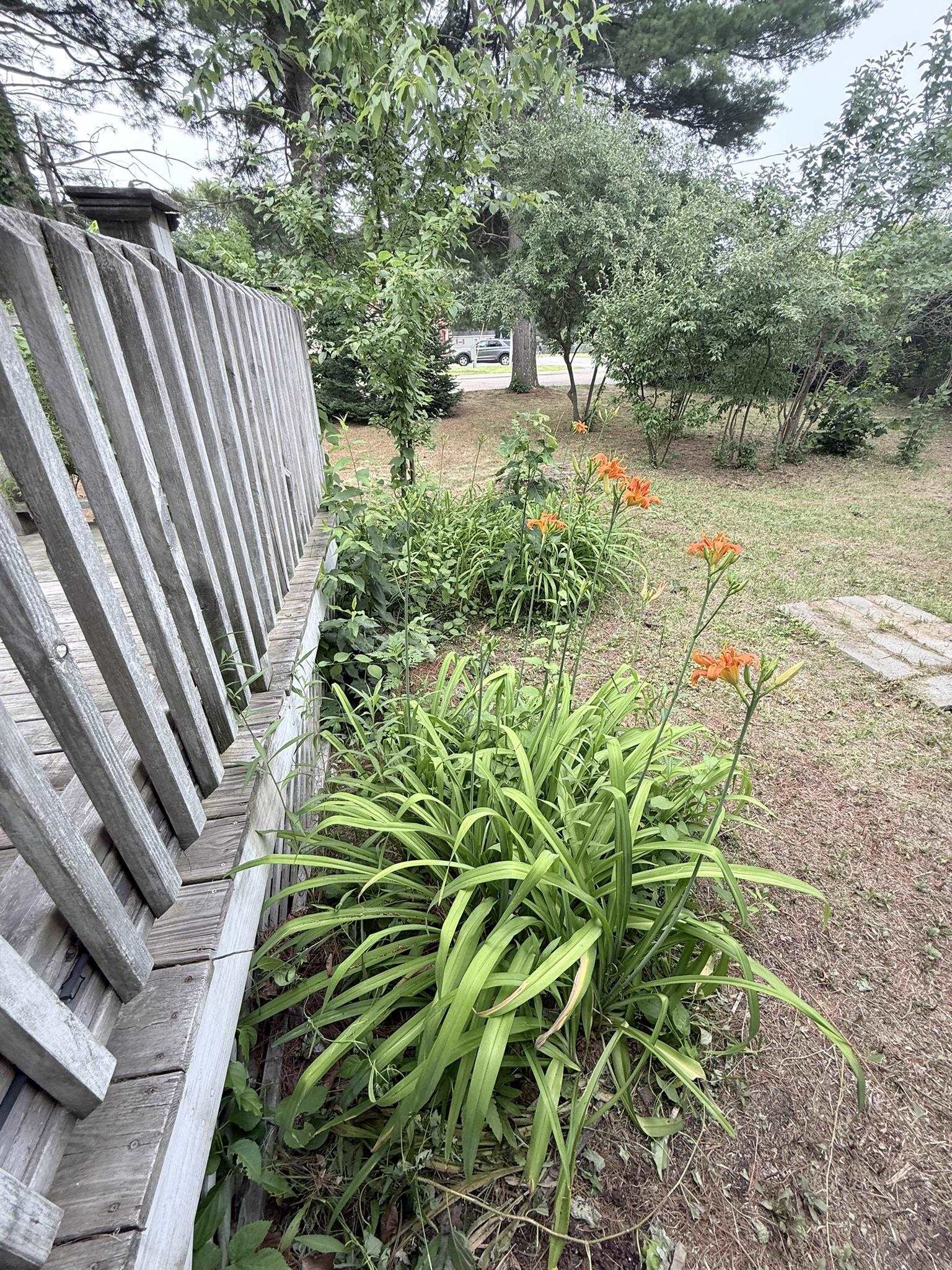 11 Willow Street Property Photo 7