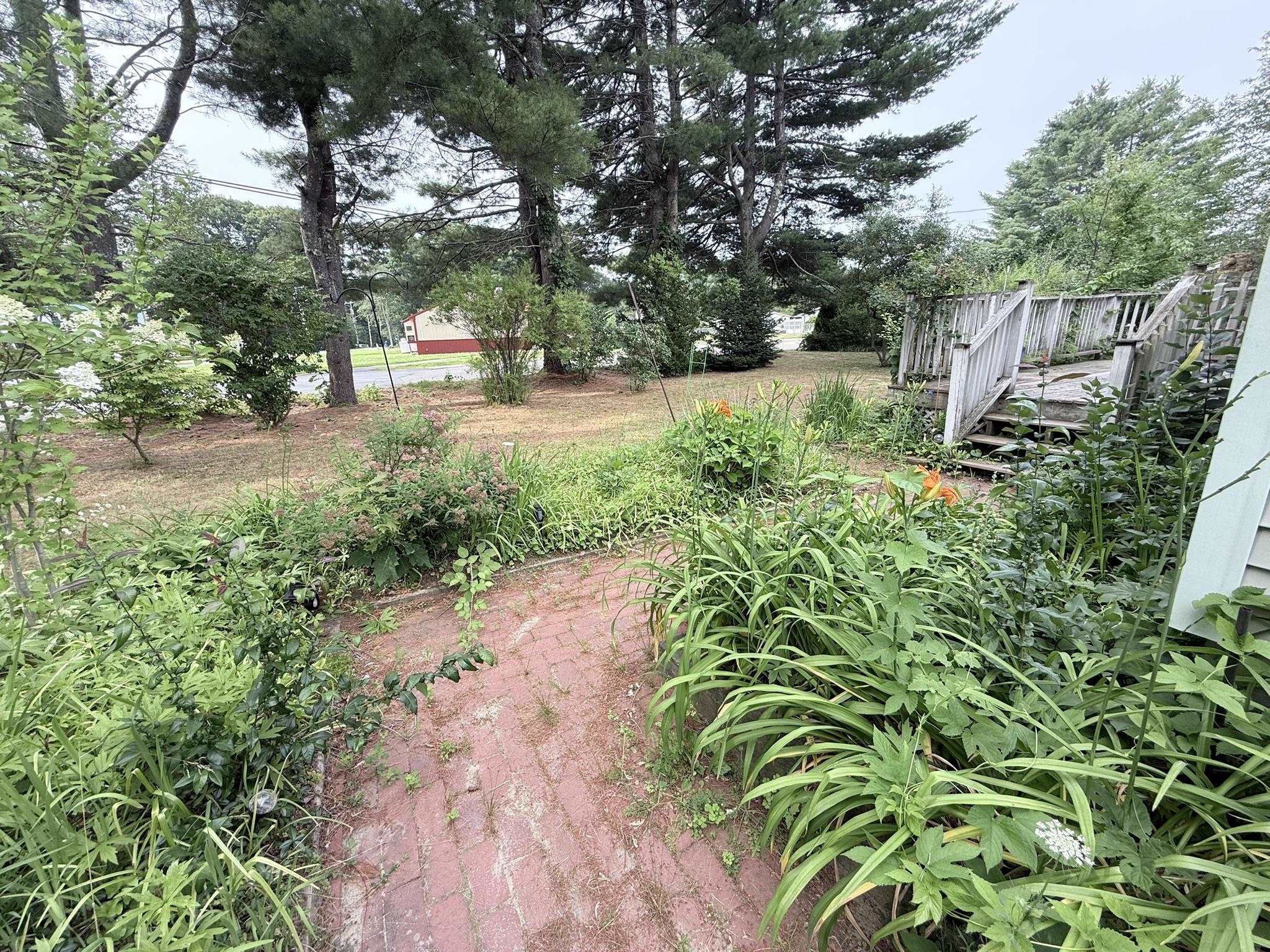 11 Willow Street Property Photo 24