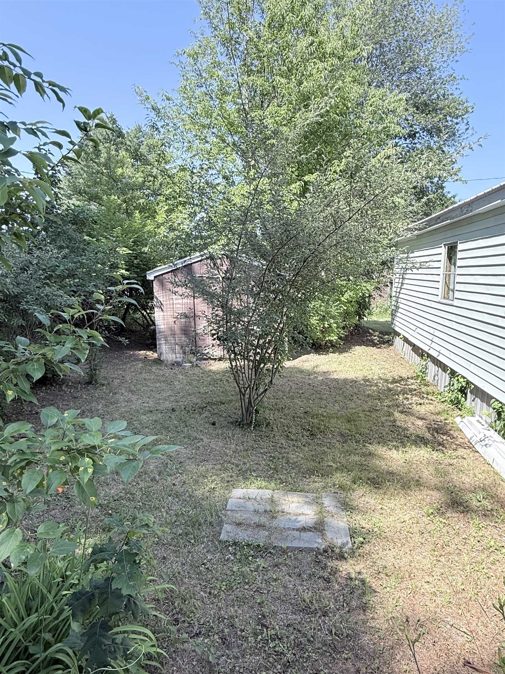 11 Willow Street Property Photo 30