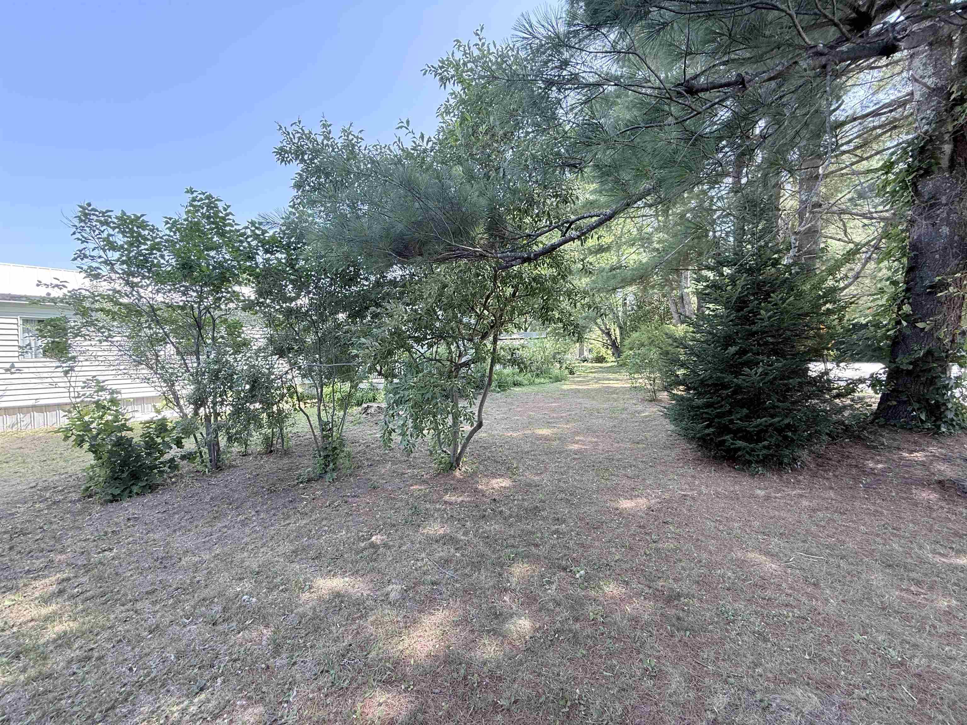 11 Willow Street Property Photo 32