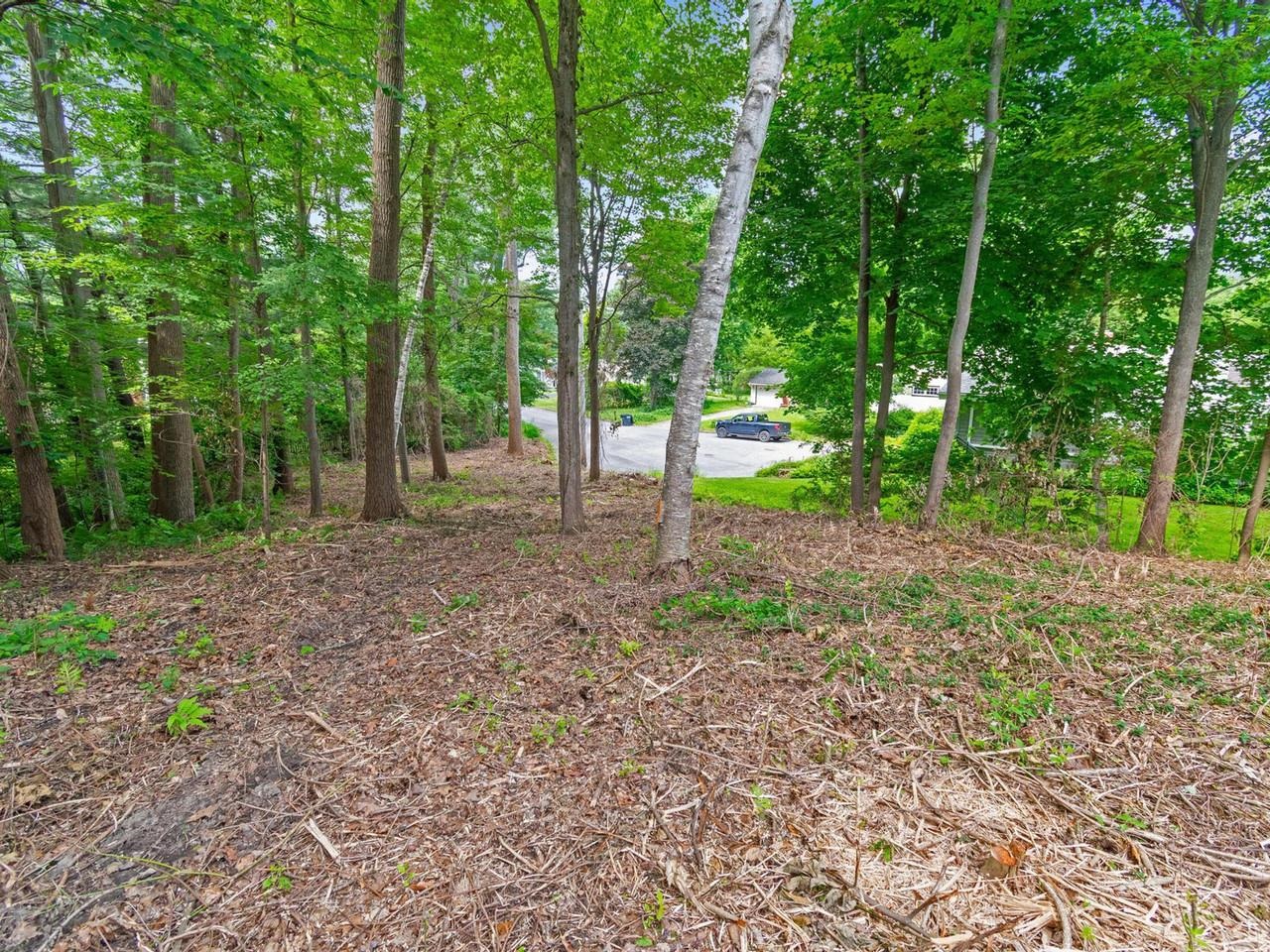 89 Chestnut Terrace Property Photo 6