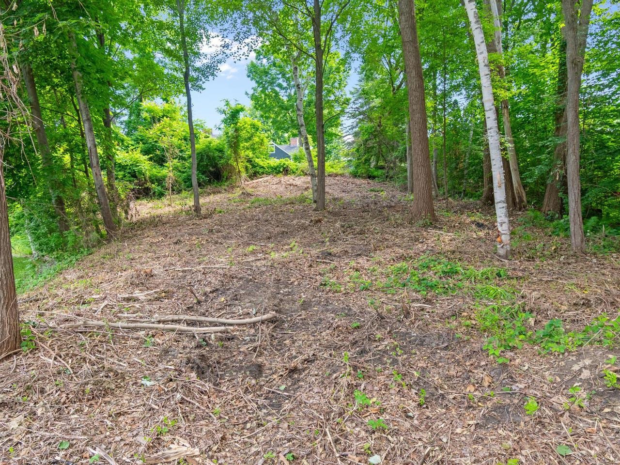 89 Chestnut Terrace Property Photo 7