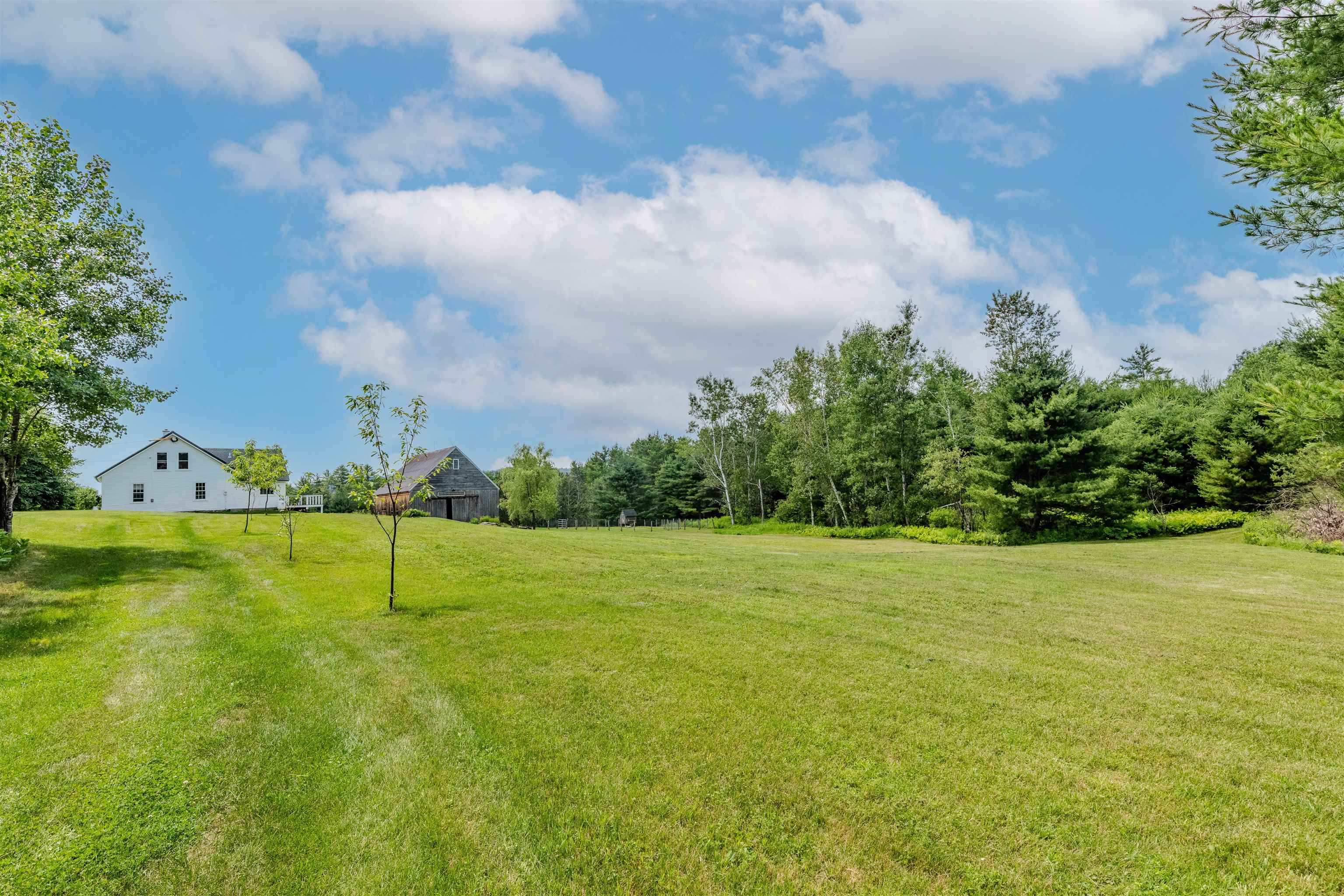 87 Porter Road Property Photo 13