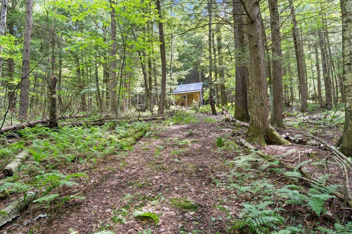 3992 Main Road Property Photo 25