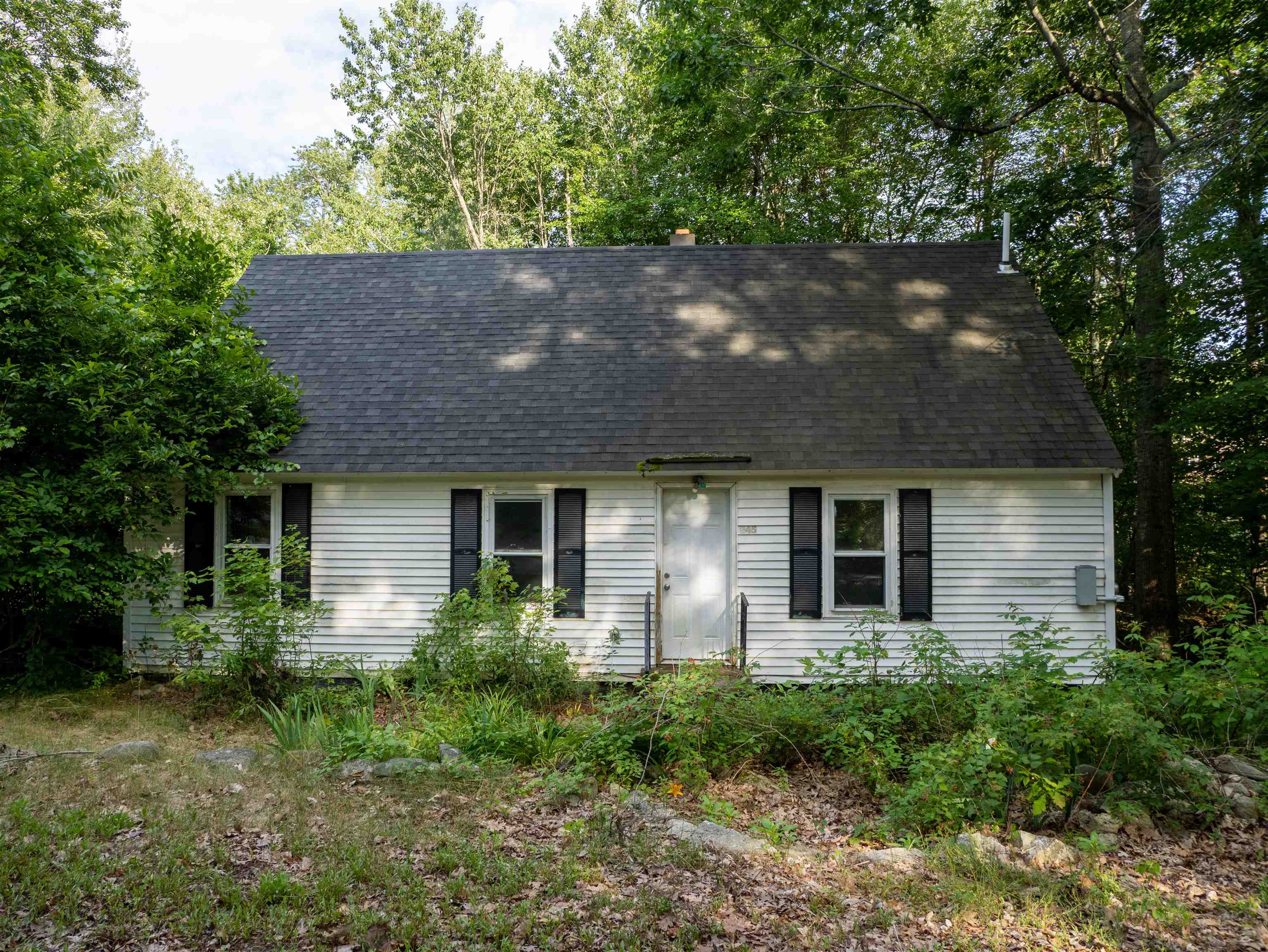 235 Young Road Property Photo 30