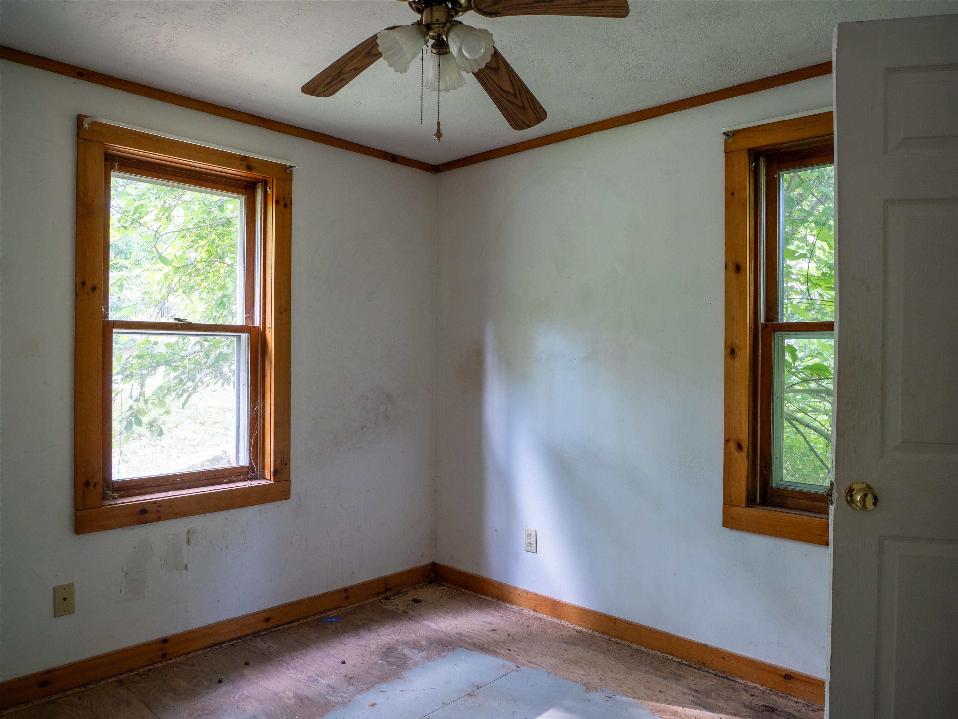 235 Young Road Property Photo 37