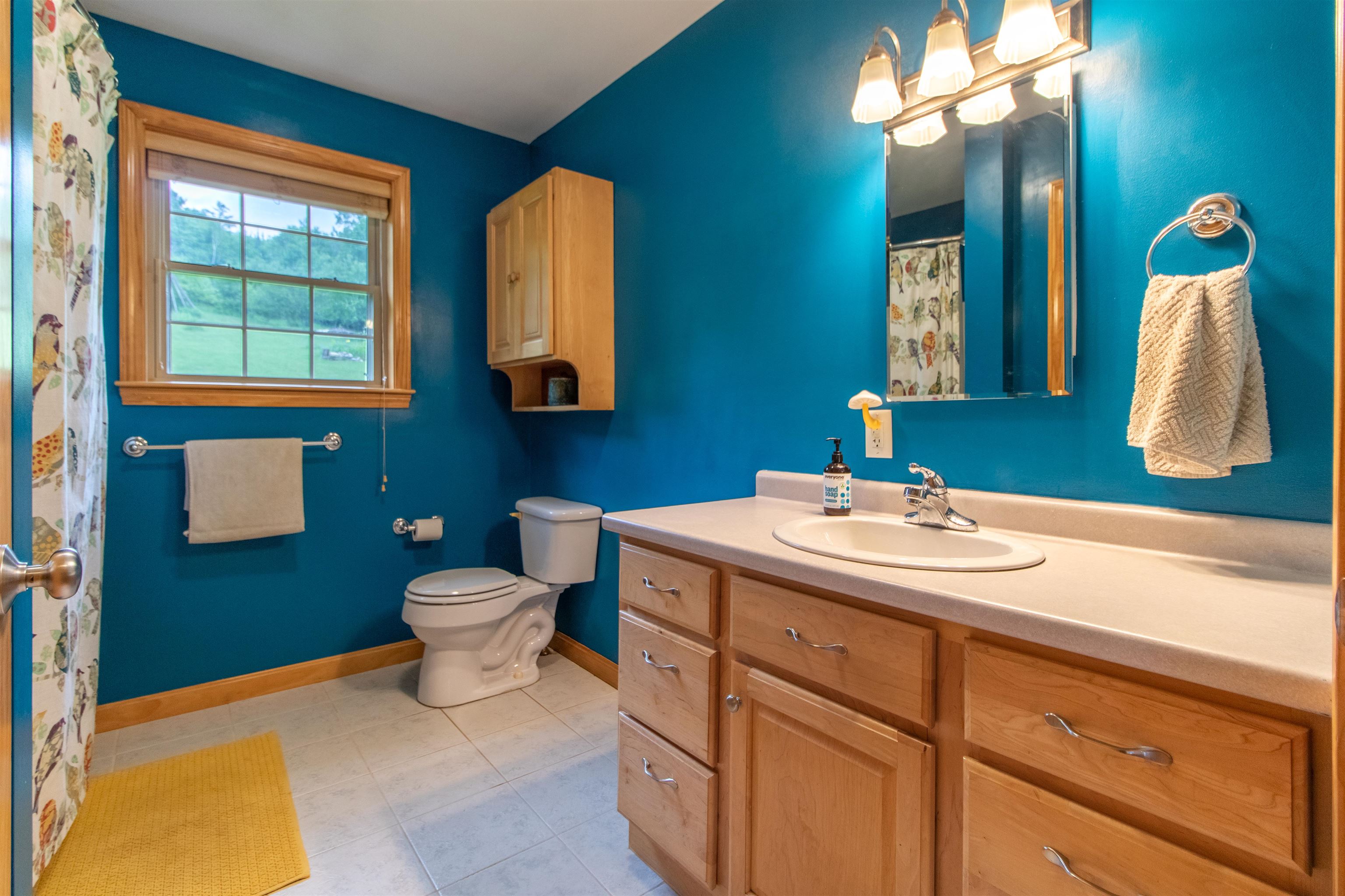 527 Mud Hollow Road Property Photo 18