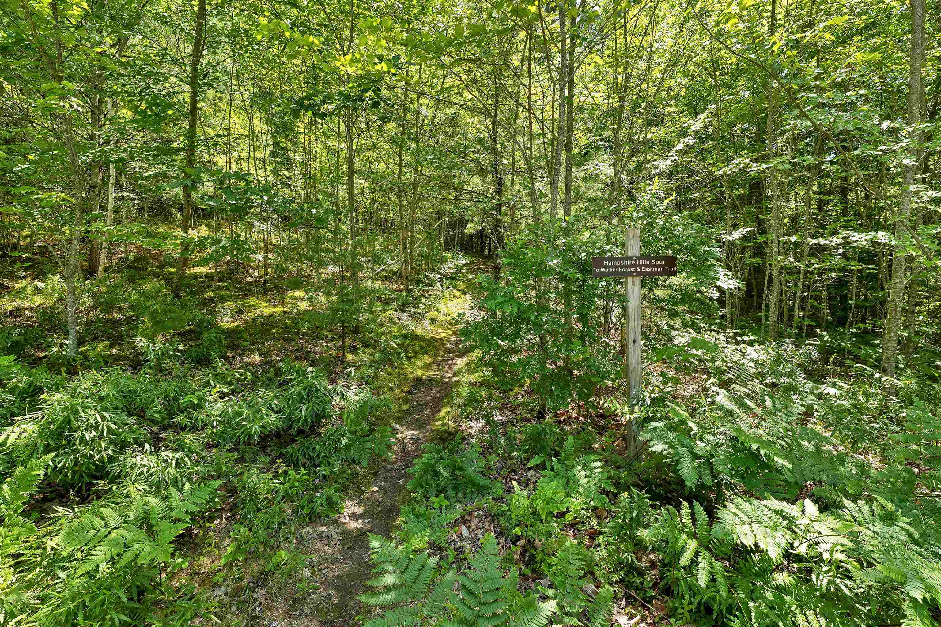 2 Hampshire Hills Drive Property Photo 3