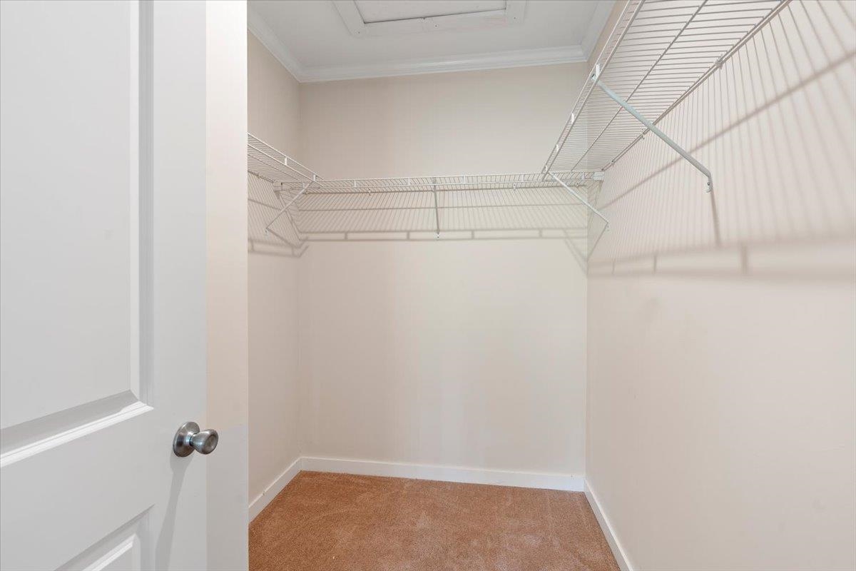 117 Mathieu Drive Property Photo 22