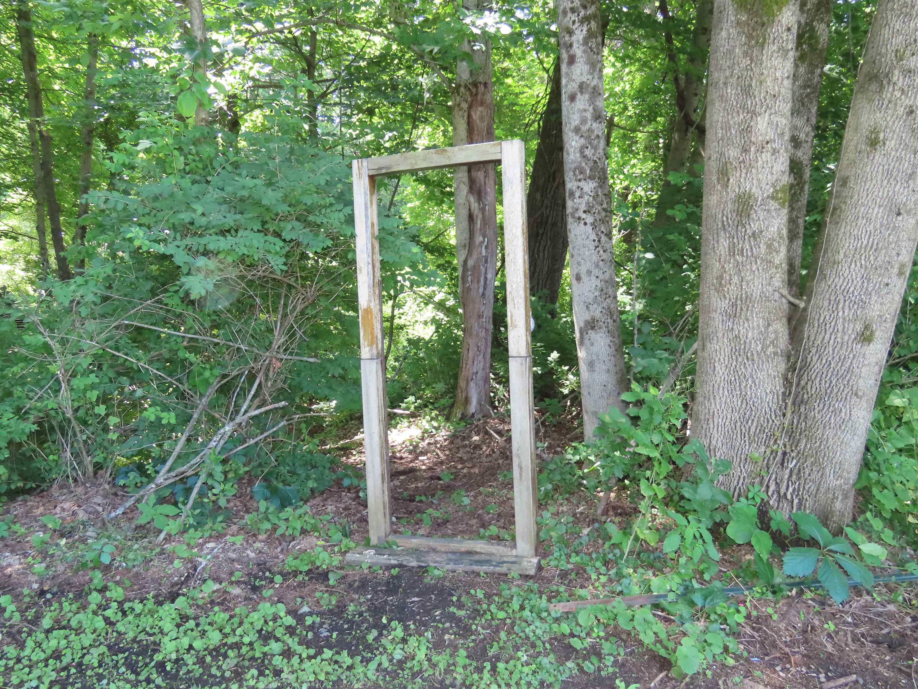 14 The Lane Property Photo 16