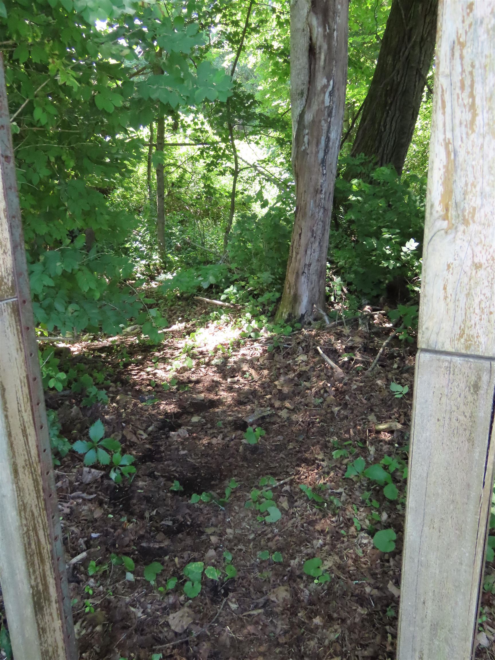 14 The Lane Property Photo 17