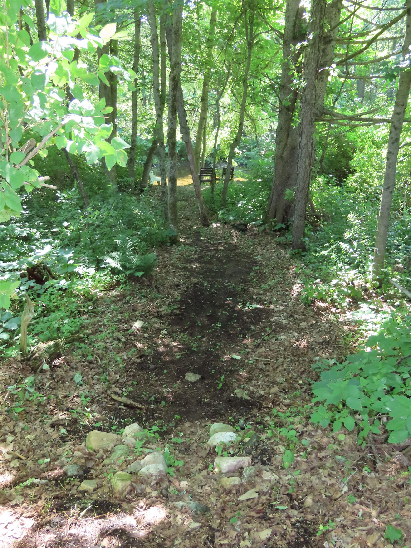 14 The Lane Property Photo 18