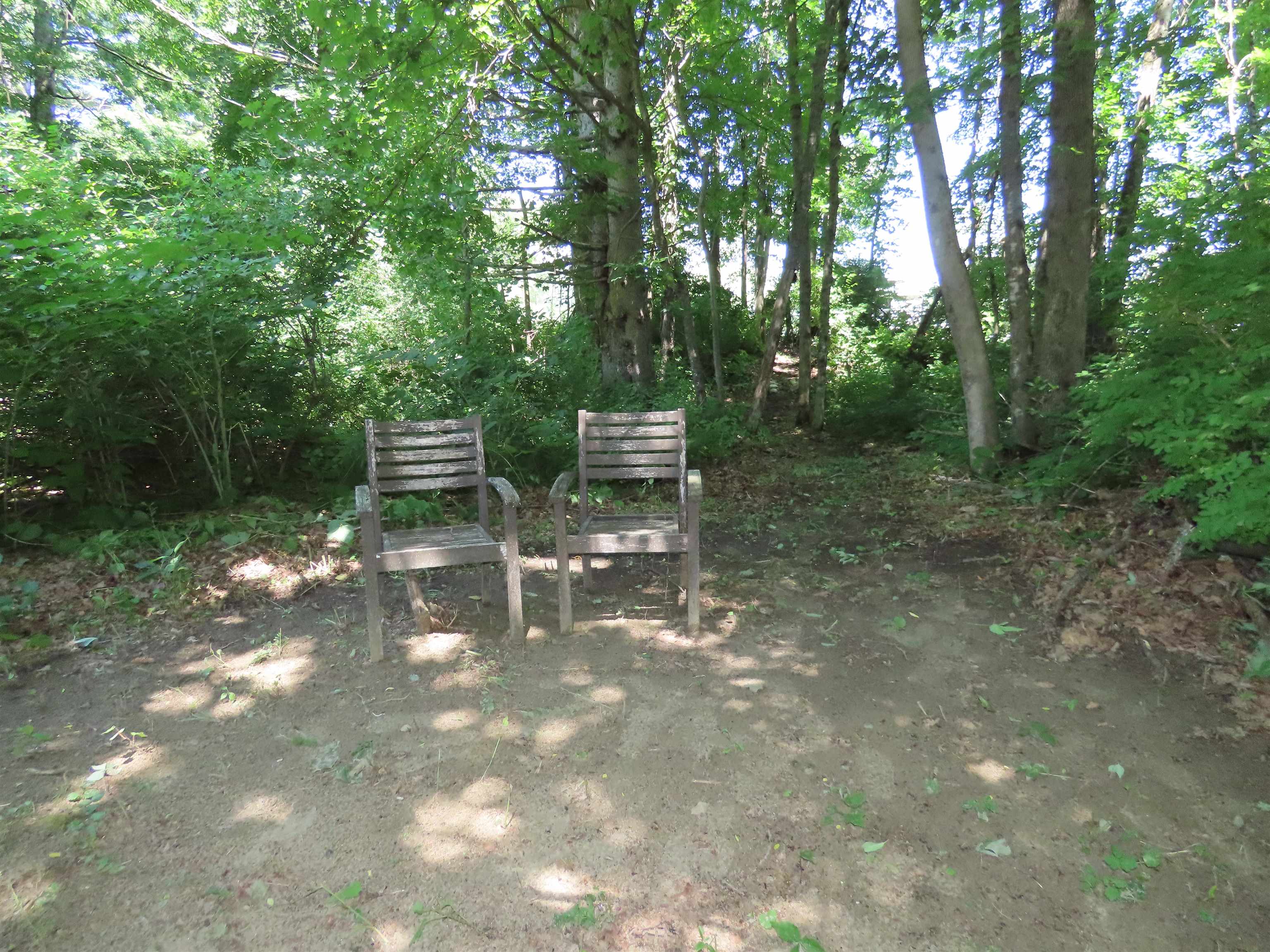 14 The Lane Property Photo 25