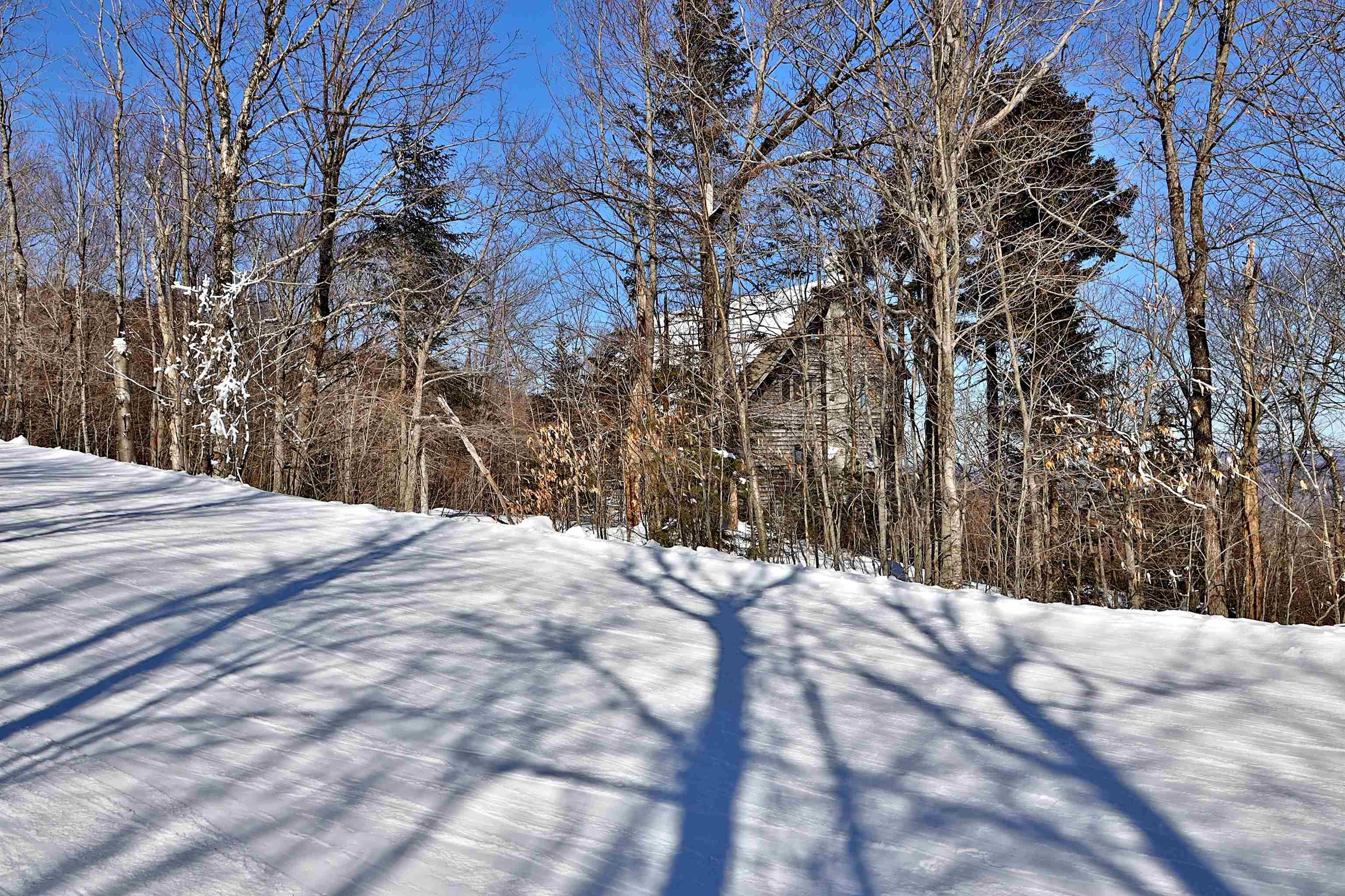 1300 Mountain Road Property Photo 20