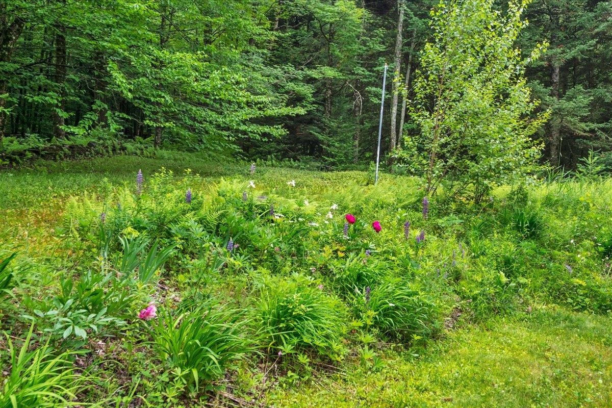 3818 West Hill Road Property Photo 56