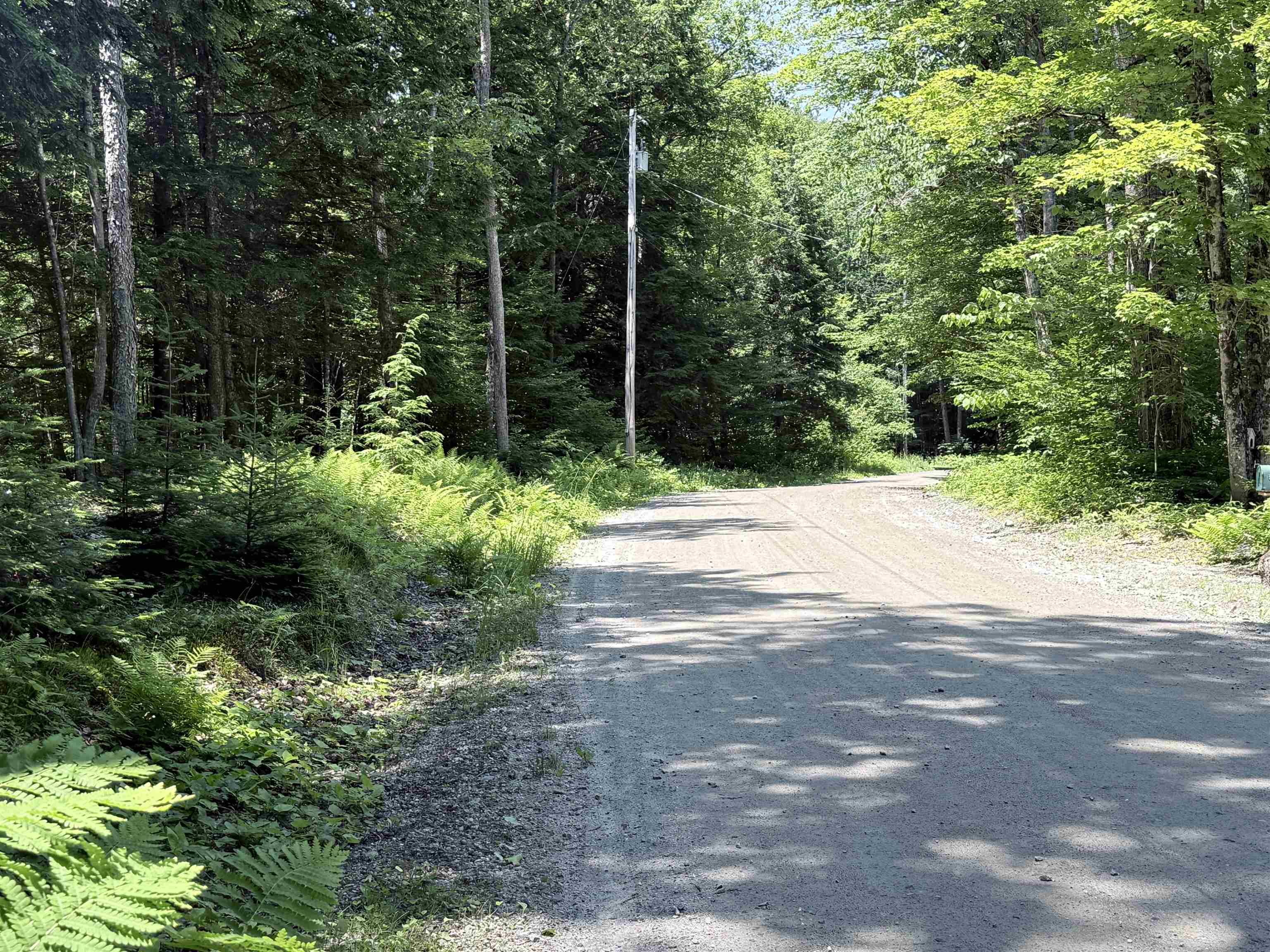 729 Davis Road Property Photo 29