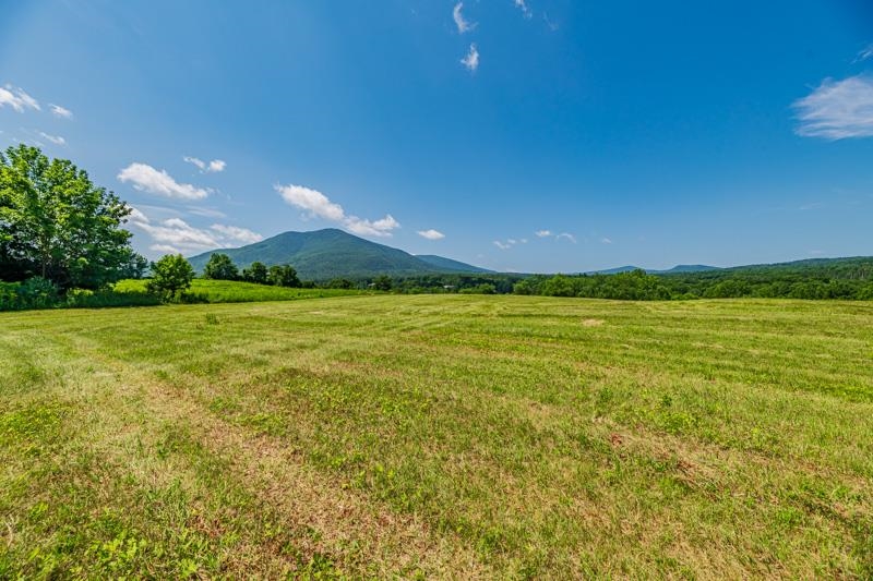 246 Brooklyn Road Property Photo 47