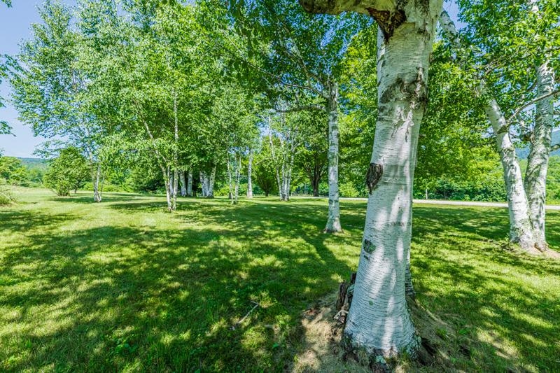 246 Brooklyn Road Property Photo 49