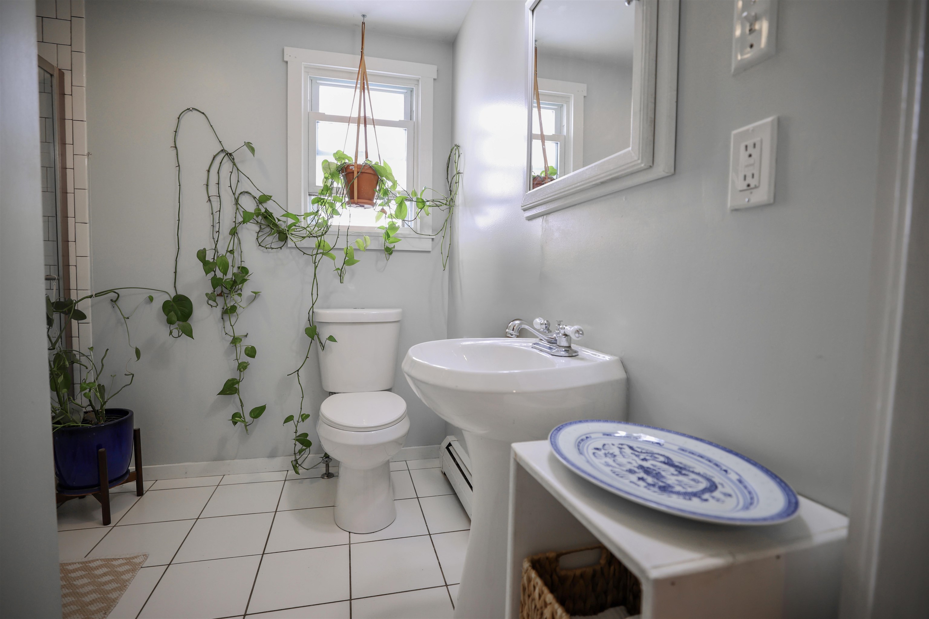 26 Rose Street Property Photo 18