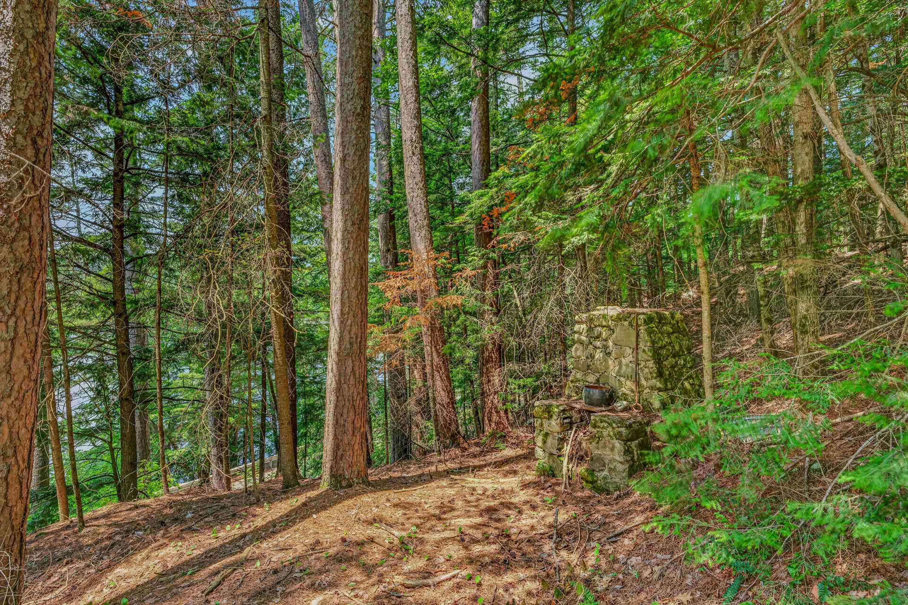 425 Partridge Lake Road Property Photo 19