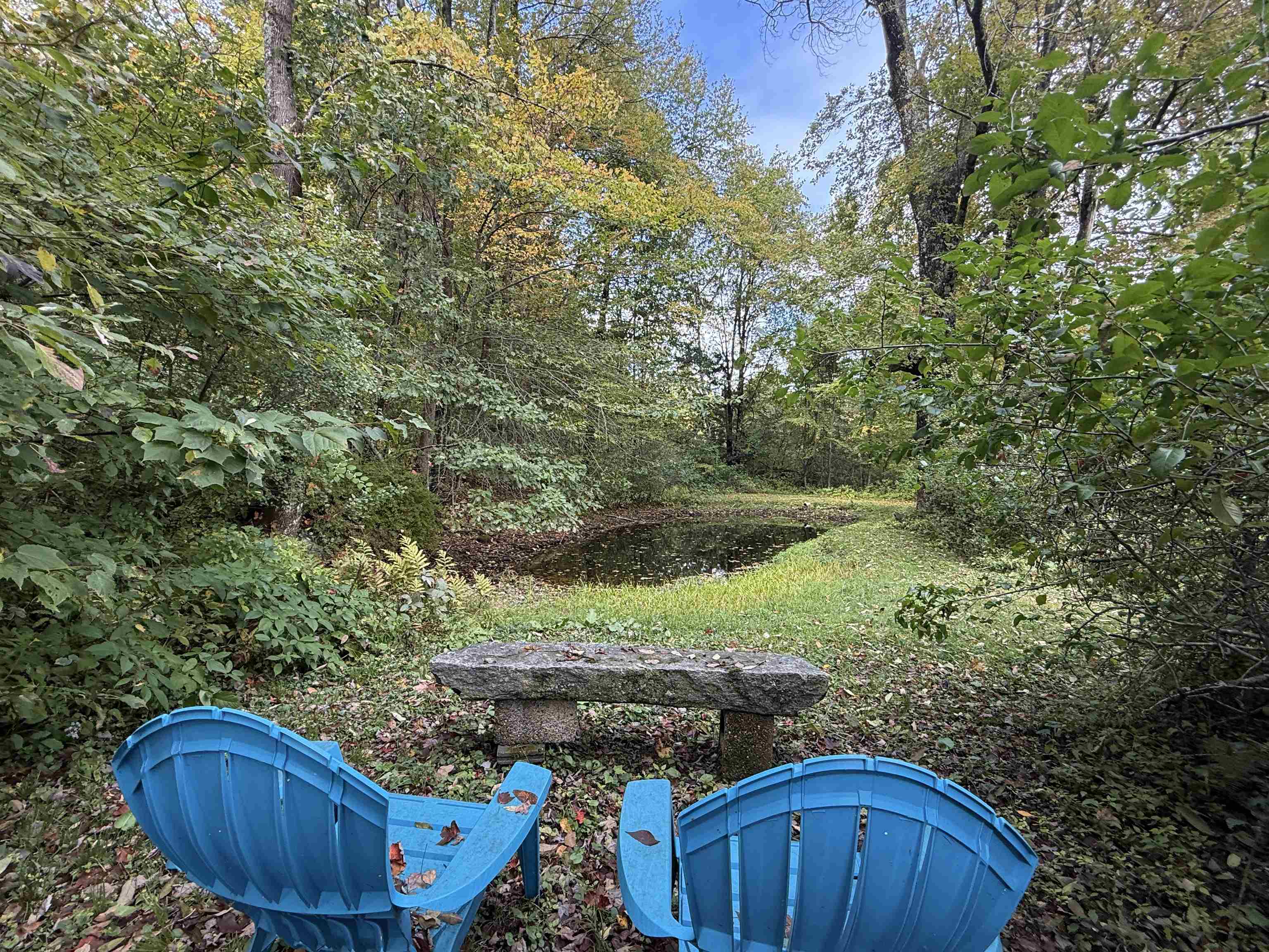 85 Brown's Road Property Photo 5